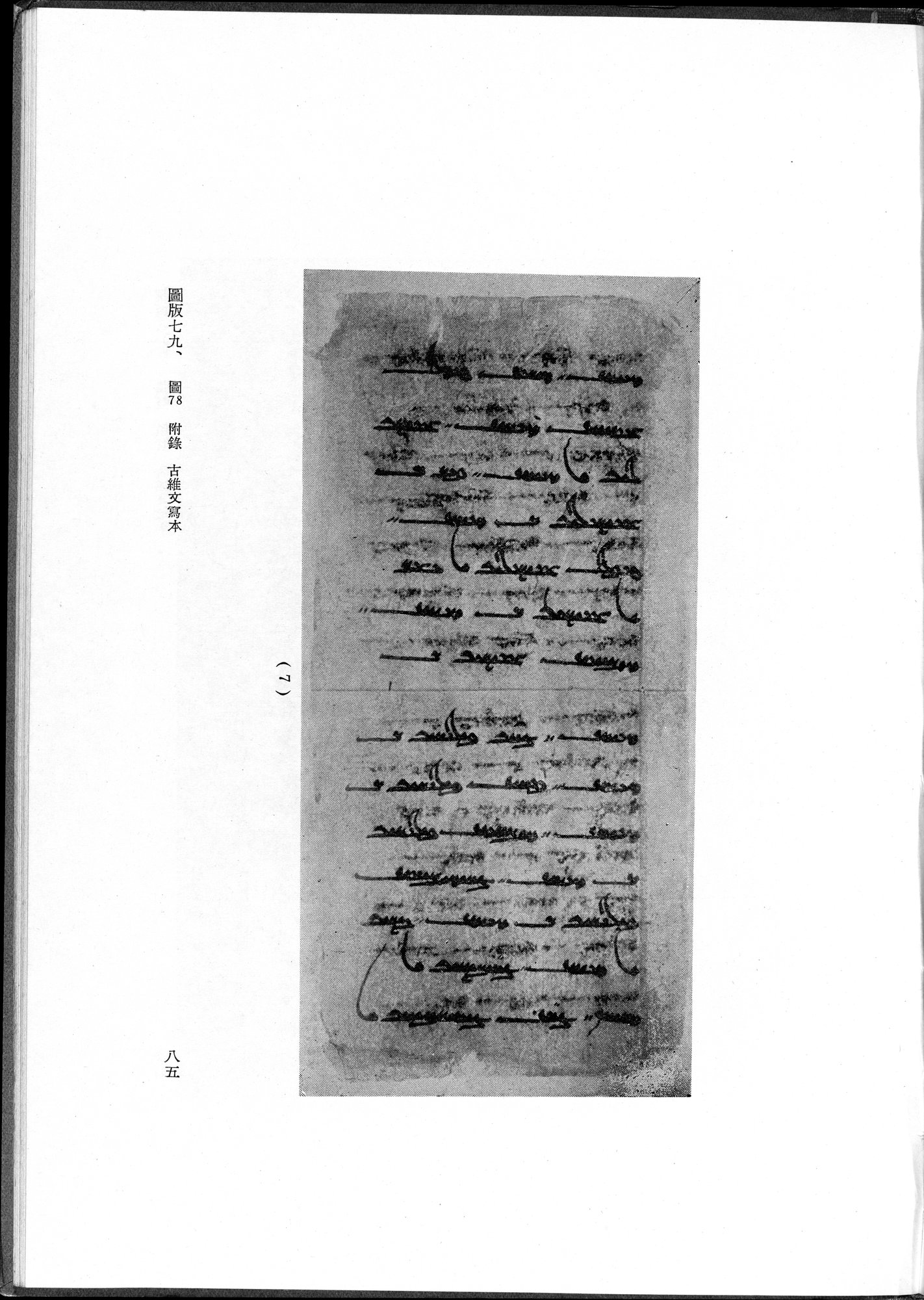 吐魯番考古記 : vol.1 / 195 ページ（白黒高解像度画像）
