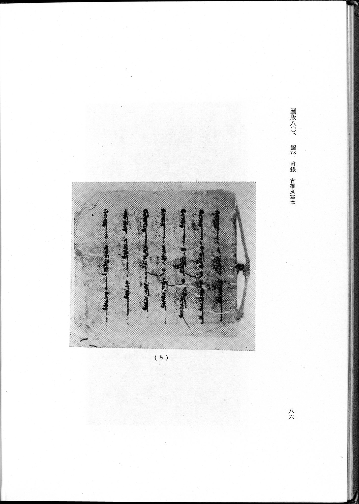 吐魯番考古記 : vol.1 / Page 196 (Grayscale High Resolution Image)