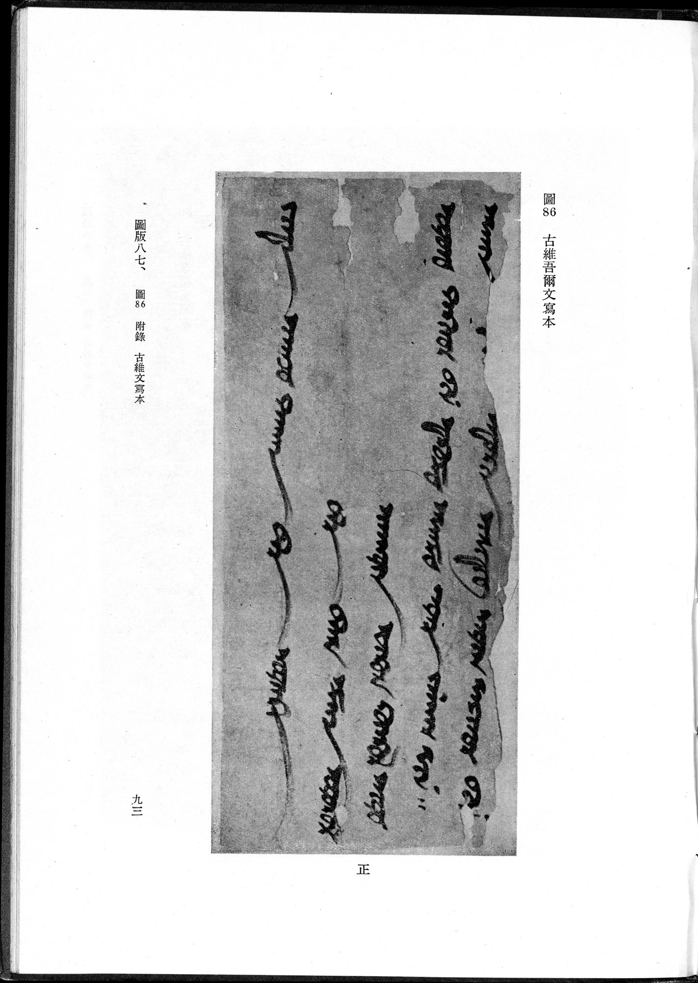 吐魯番考古記 : vol.1 / 203 ページ（白黒高解像度画像）