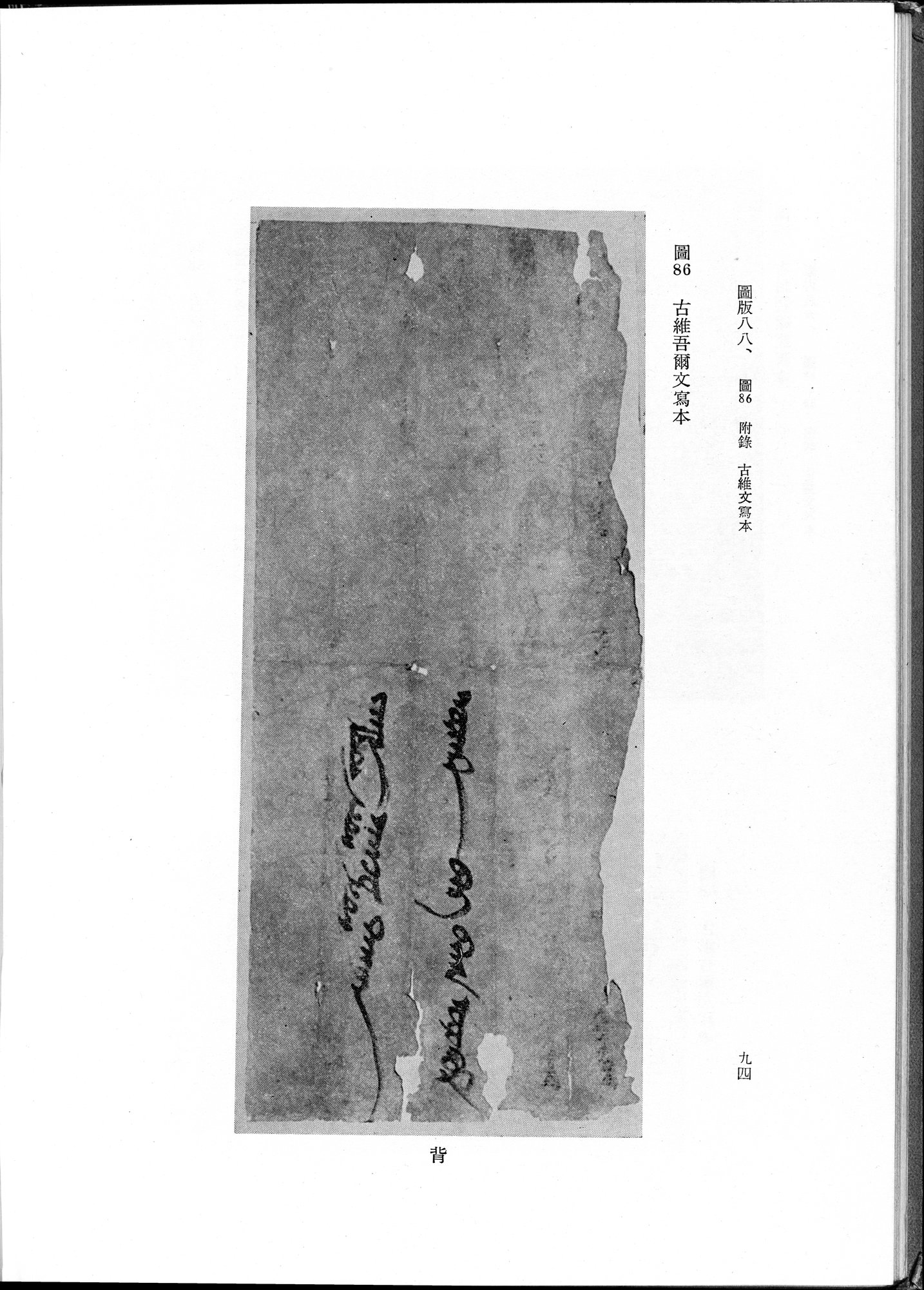吐魯番考古記 : vol.1 / 204 ページ（白黒高解像度画像）