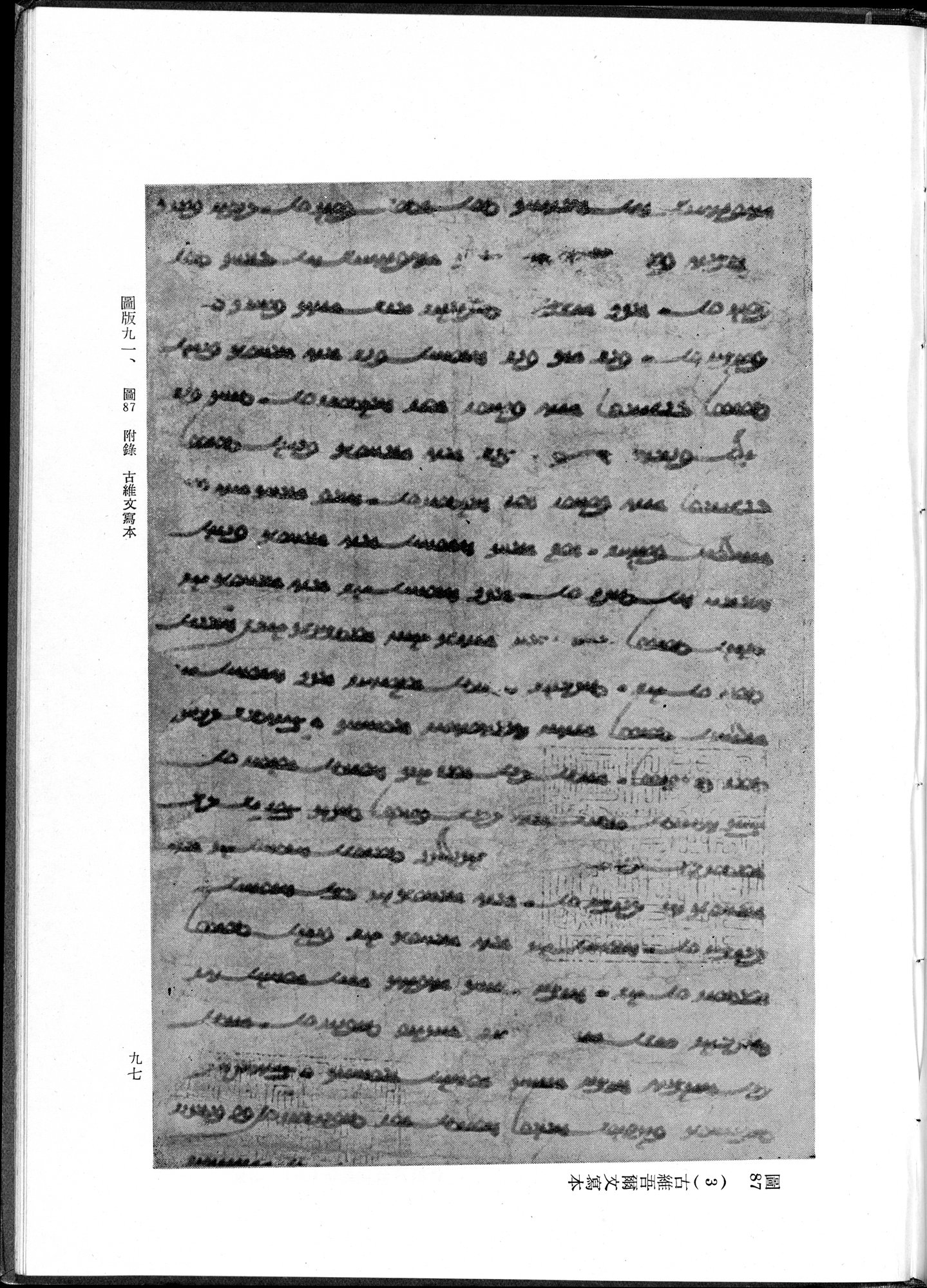 吐魯番考古記 : vol.1 / 207 ページ（白黒高解像度画像）