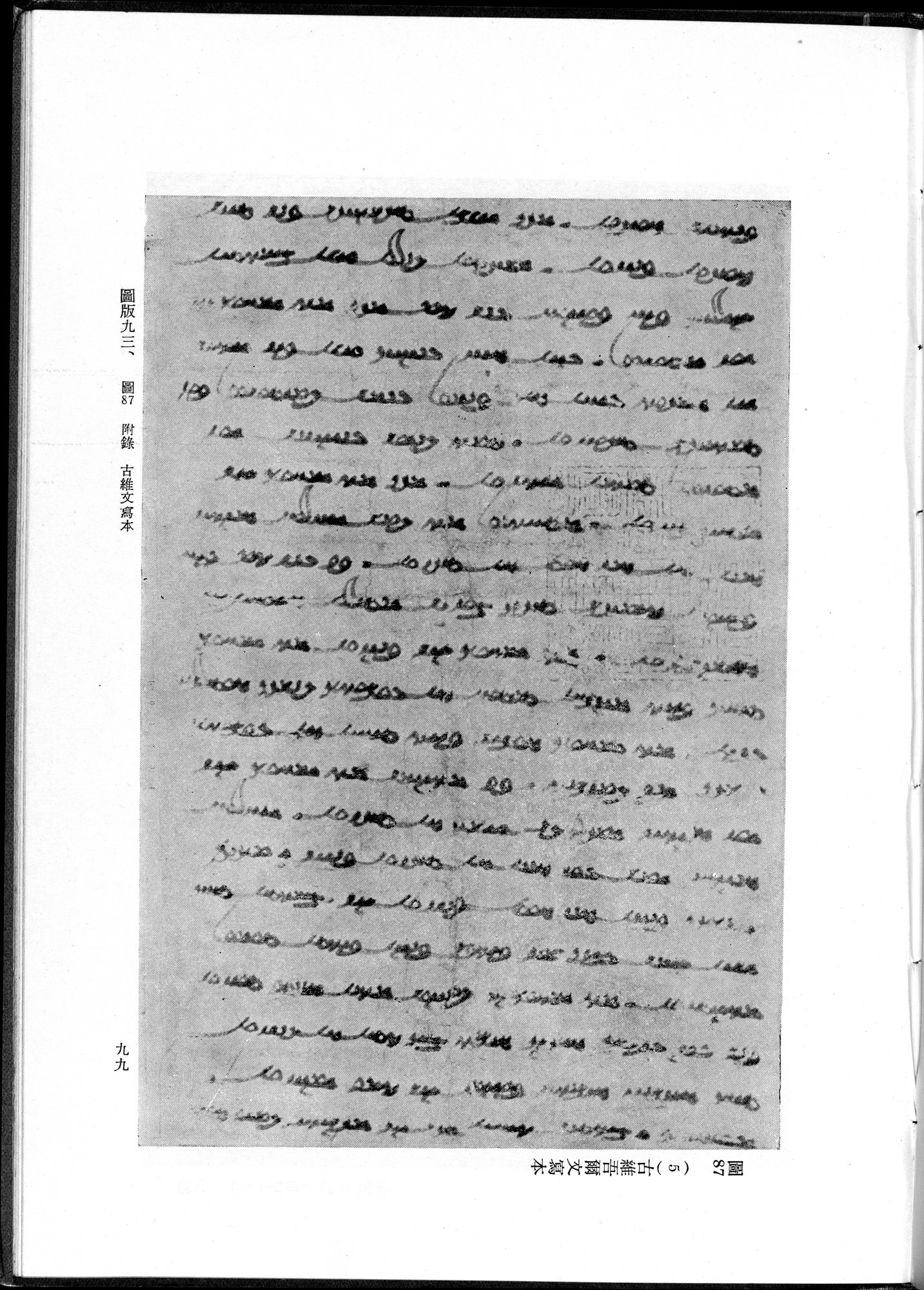 吐魯番考古記 : vol.1 / 209 ページ（白黒高解像度画像）