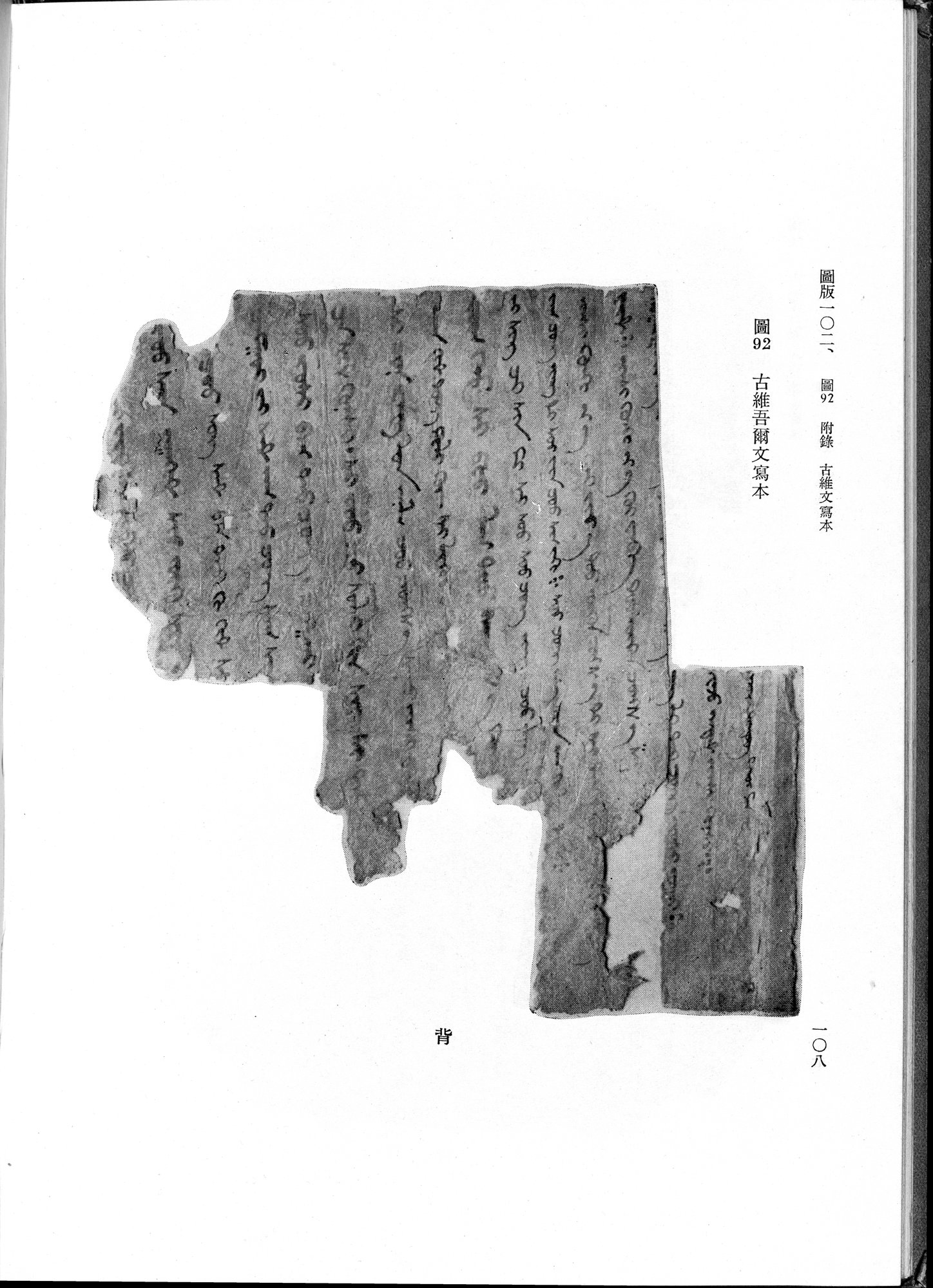吐魯番考古記 : vol.1 / Page 218 (Grayscale High Resolution Image)