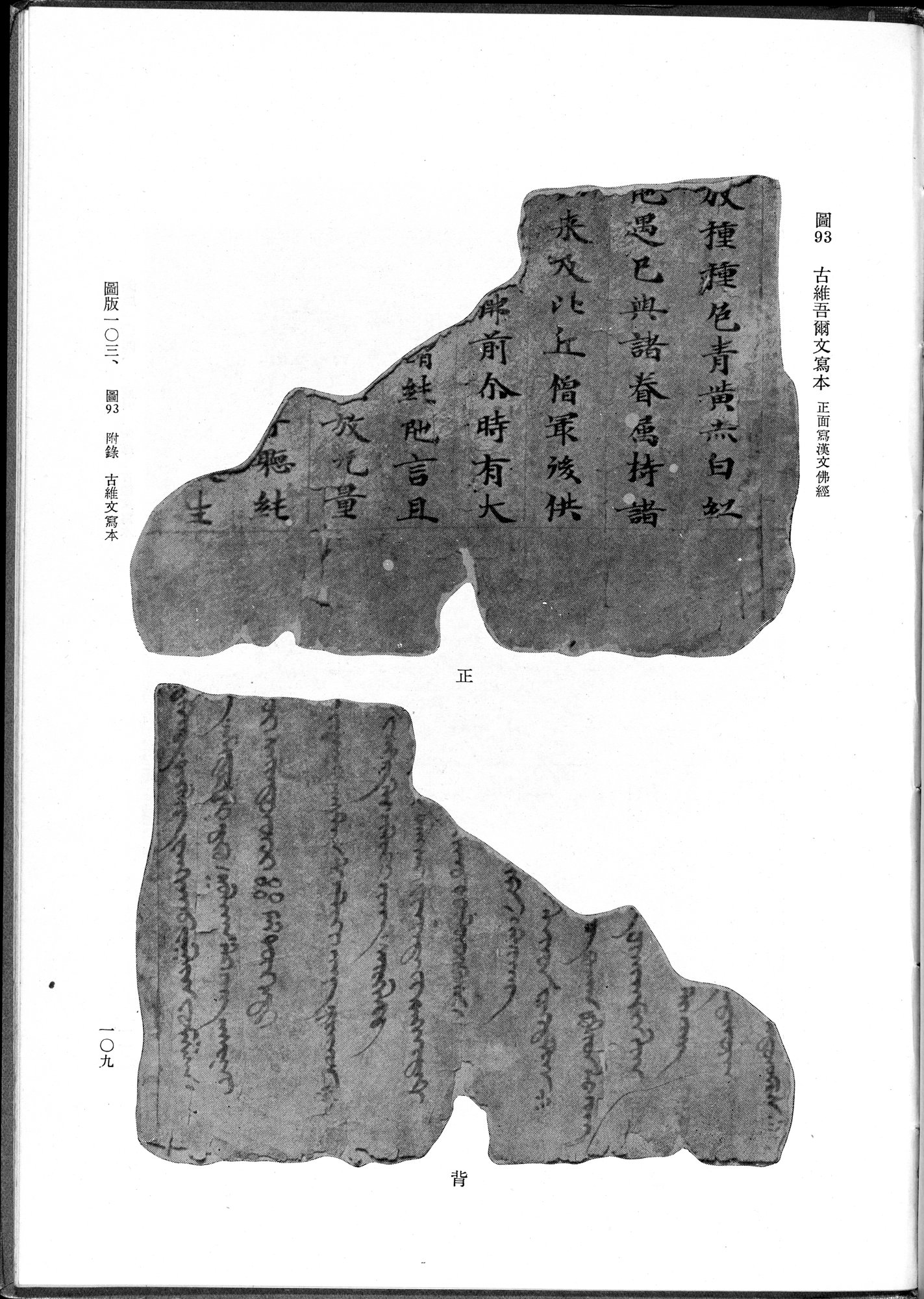 吐魯番考古記 : vol.1 / Page 219 (Grayscale High Resolution Image)