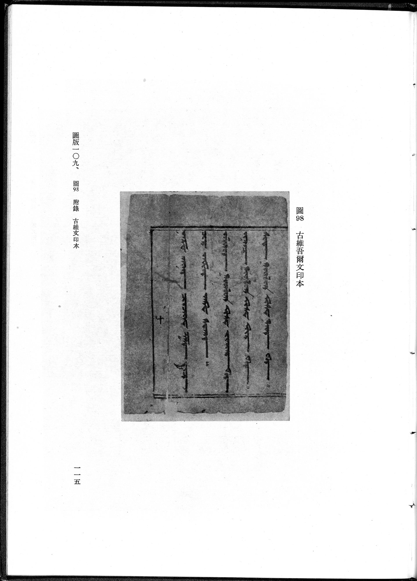 吐魯番考古記 : vol.1 / 225 ページ（白黒高解像度画像）