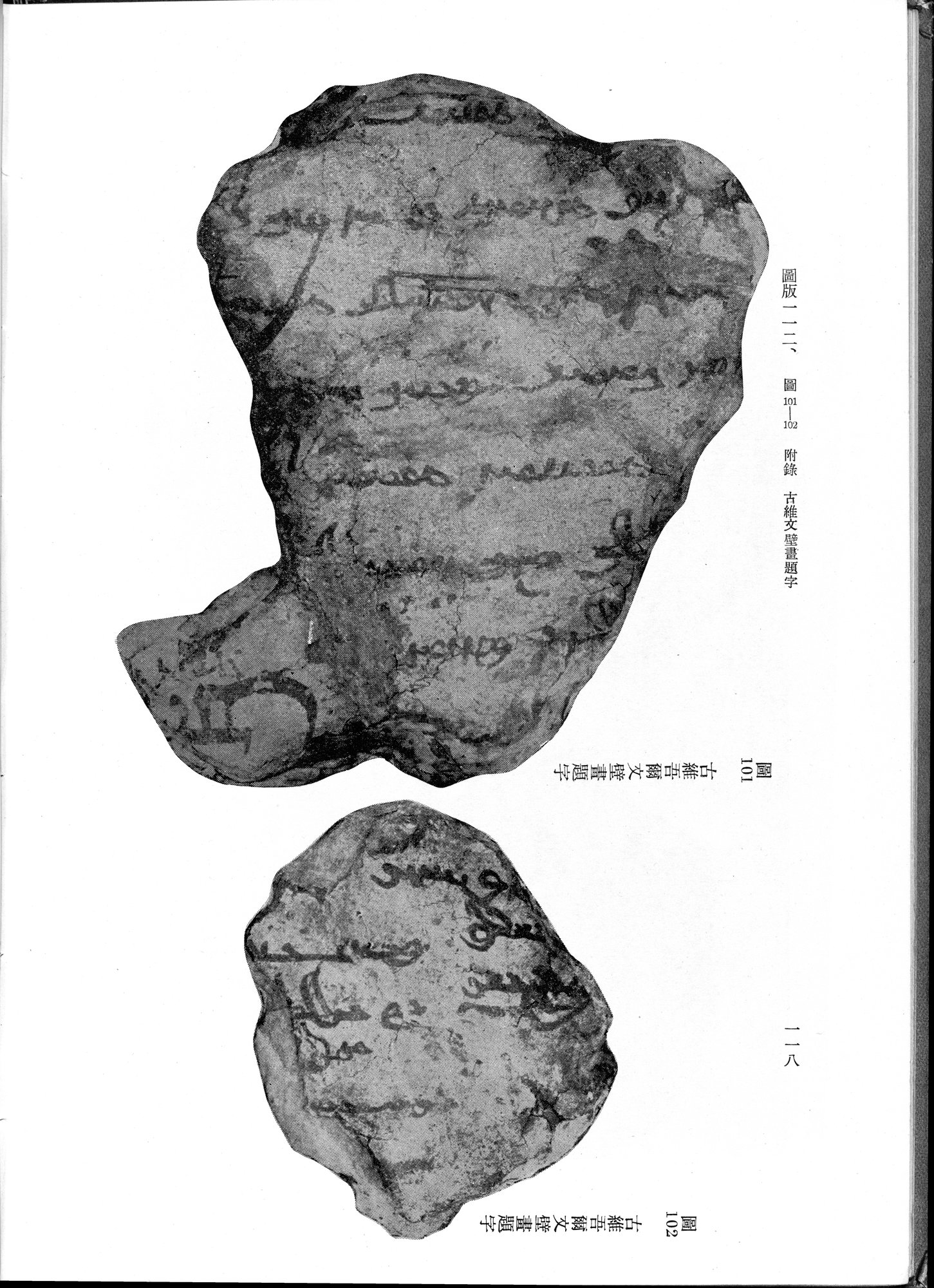 吐魯番考古記 : vol.1 / 228 ページ（白黒高解像度画像）