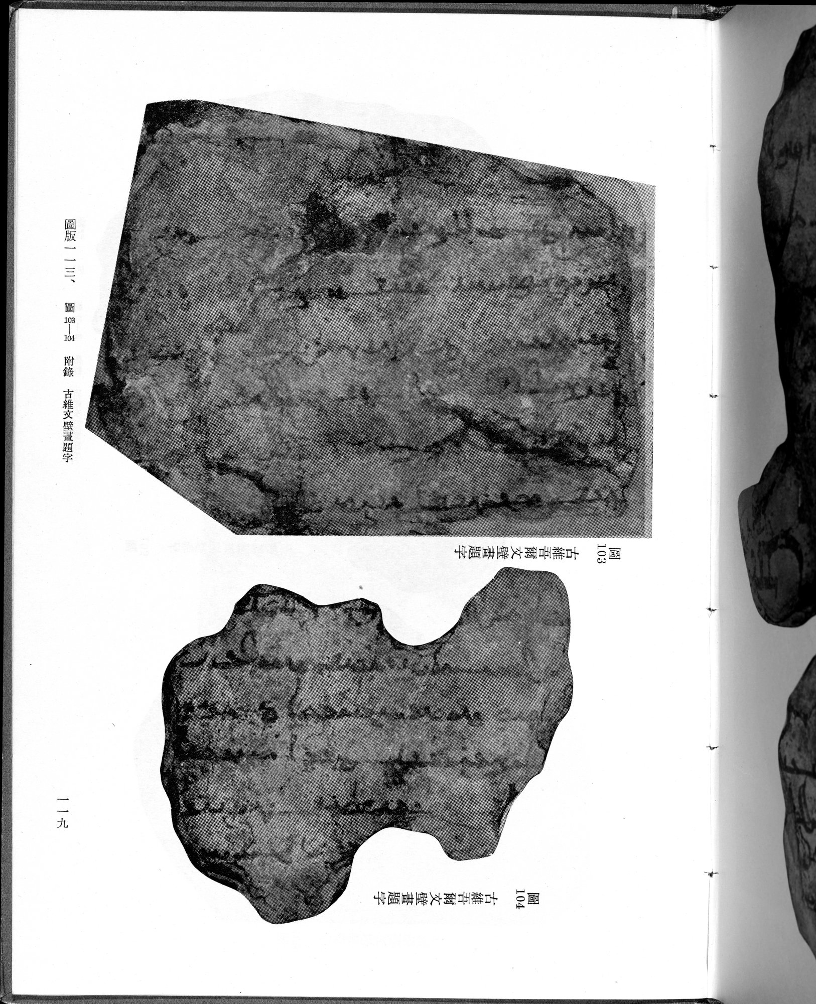 吐魯番考古記 : vol.1 / 229 ページ（白黒高解像度画像）