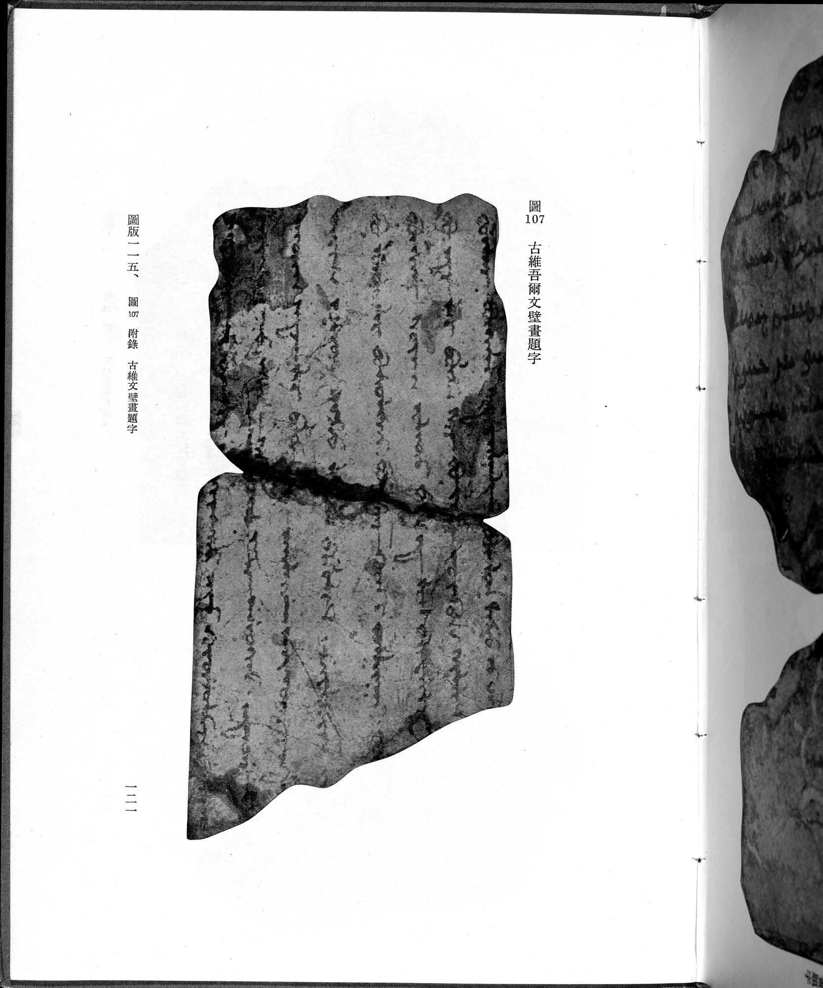 吐魯番考古記 : vol.1 / 231 ページ（白黒高解像度画像）