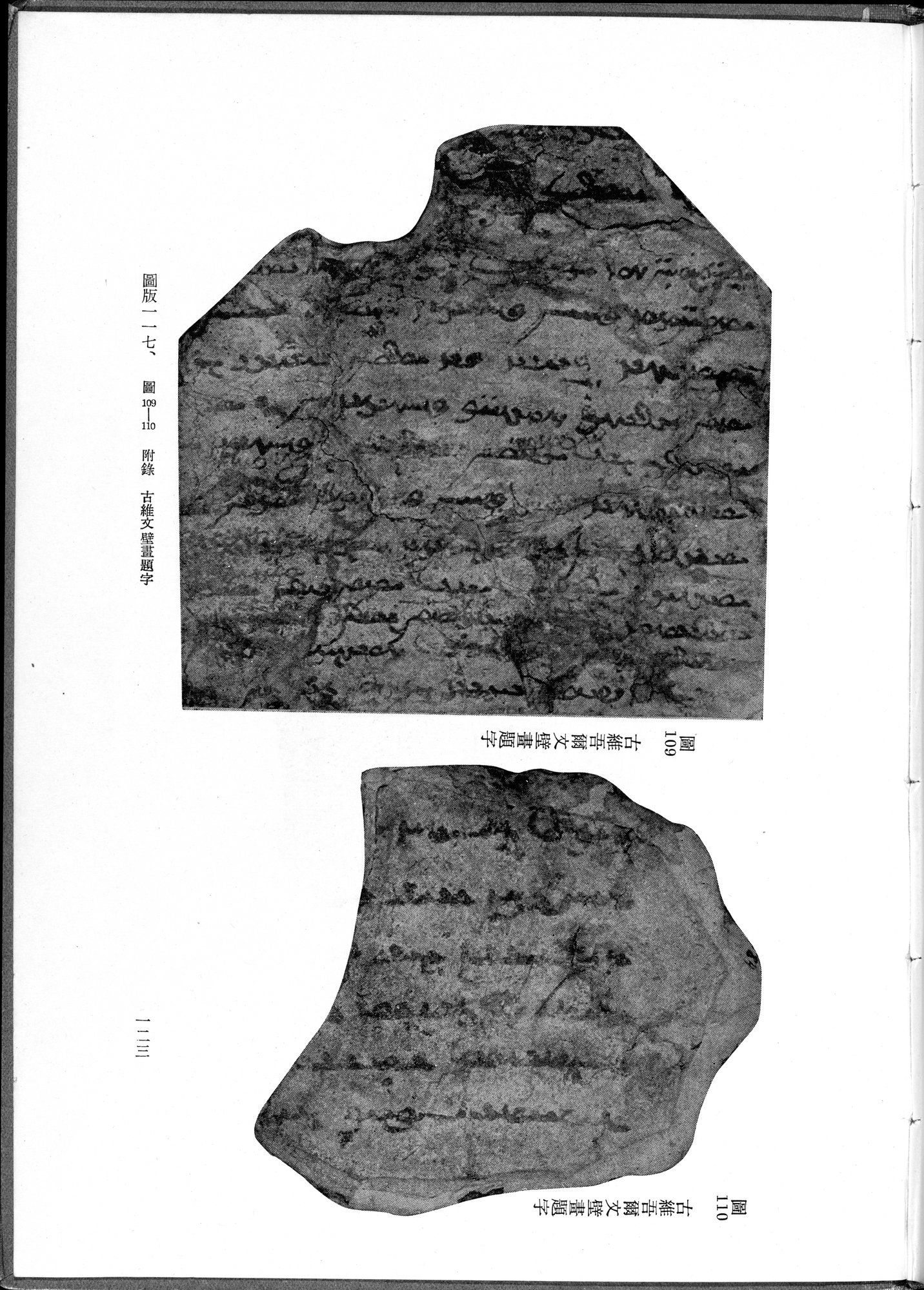 吐魯番考古記 : vol.1 / 233 ページ（白黒高解像度画像）