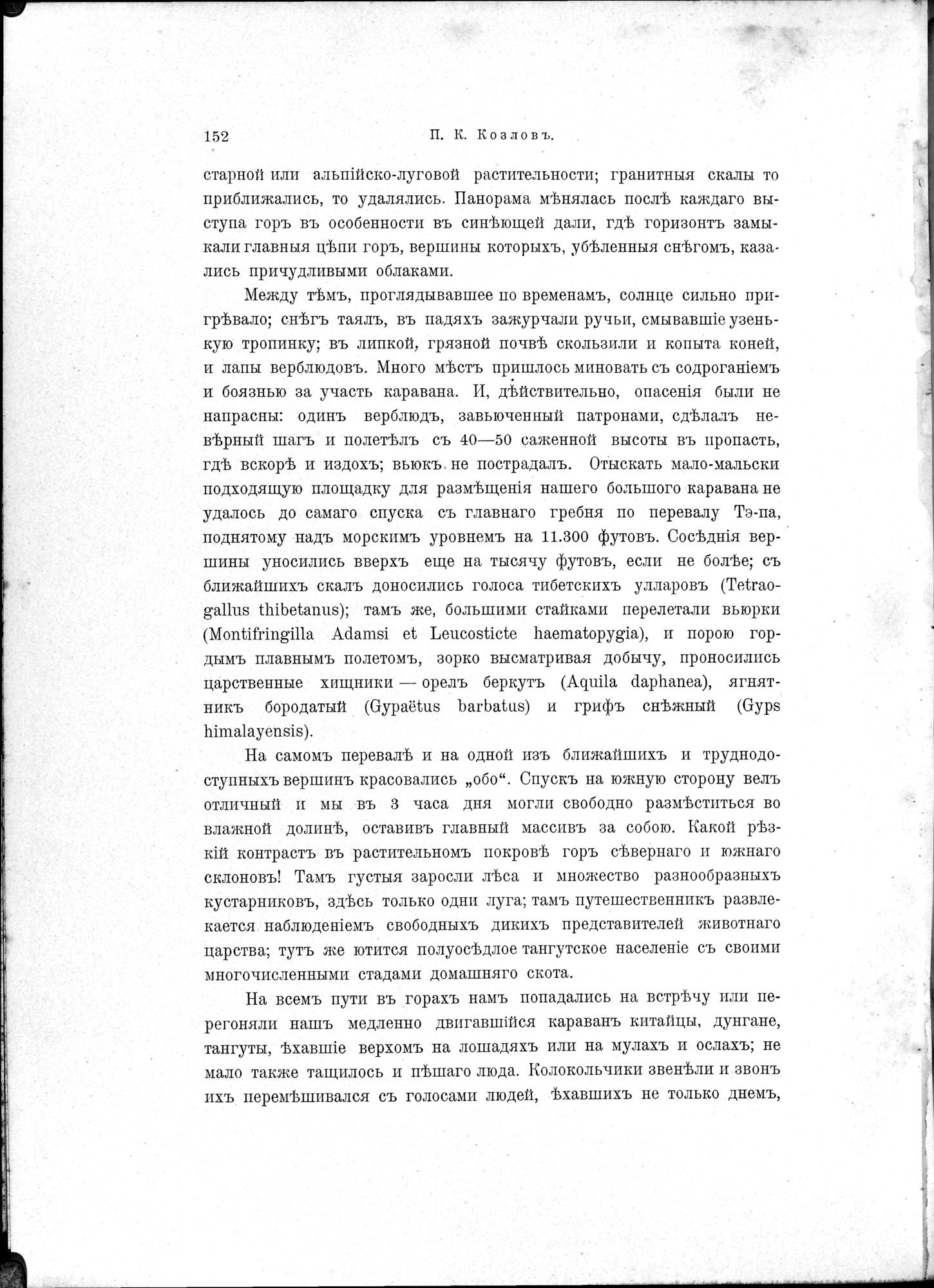 Mongoliia i Kam : vol.1 / 194 ページ（白黒高解像度画像）