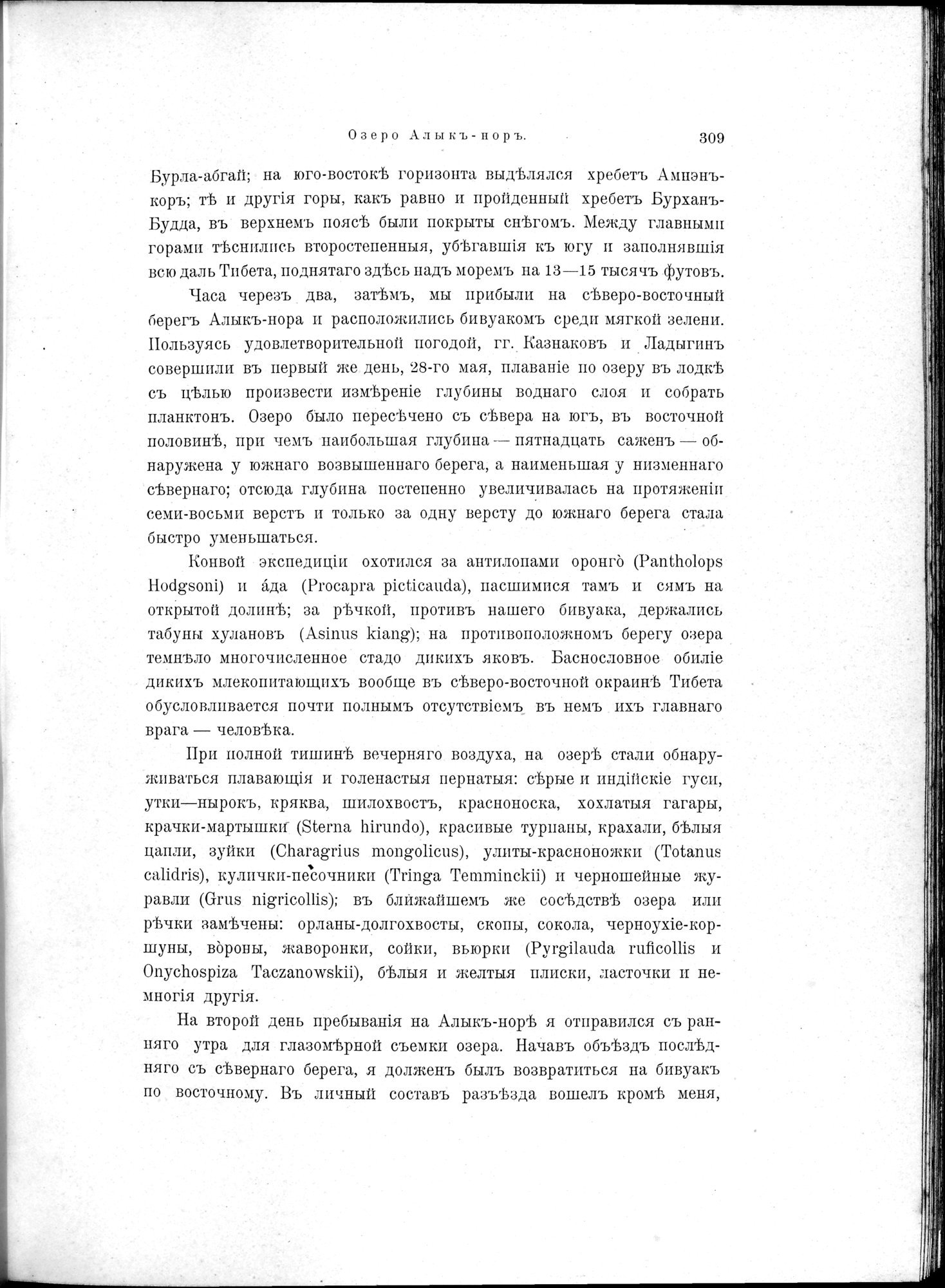 Mongoliia i Kam : vol.2 / 77 ページ（白黒高解像度画像）