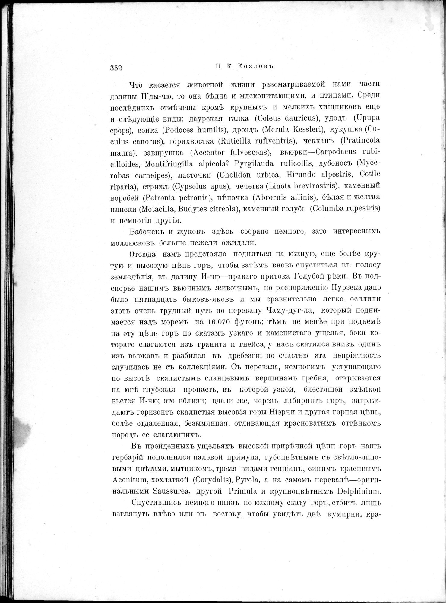 Mongoliia i Kam : vol.2 / 130 ページ（白黒高解像度画像）