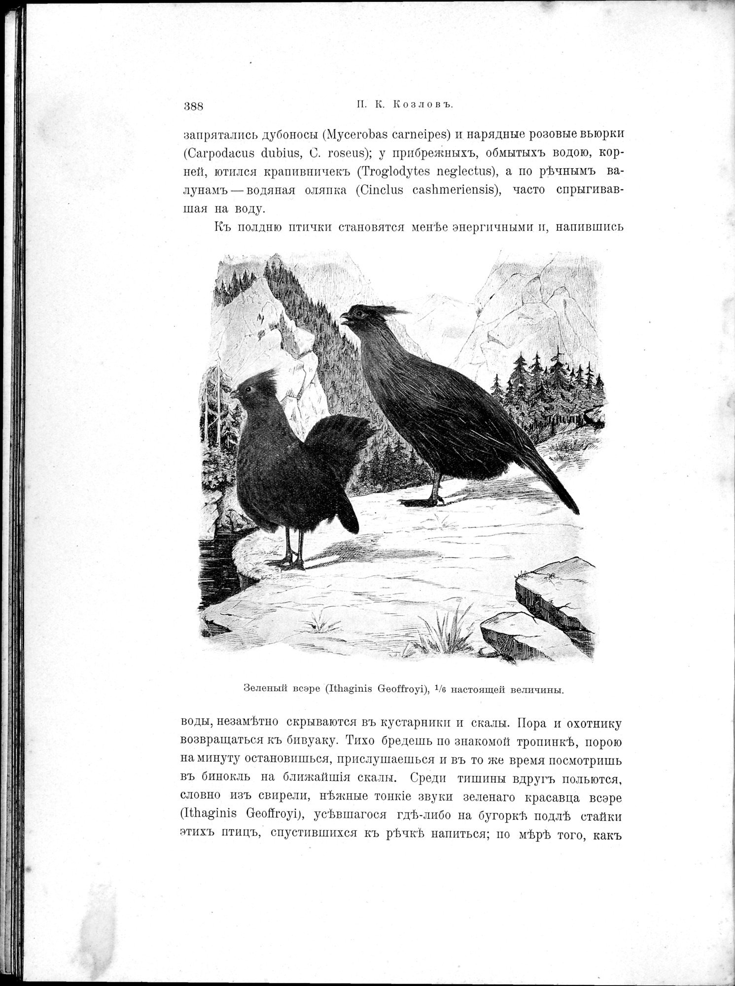Mongoliia i Kam : vol.2 / 180 ページ（白黒高解像度画像）