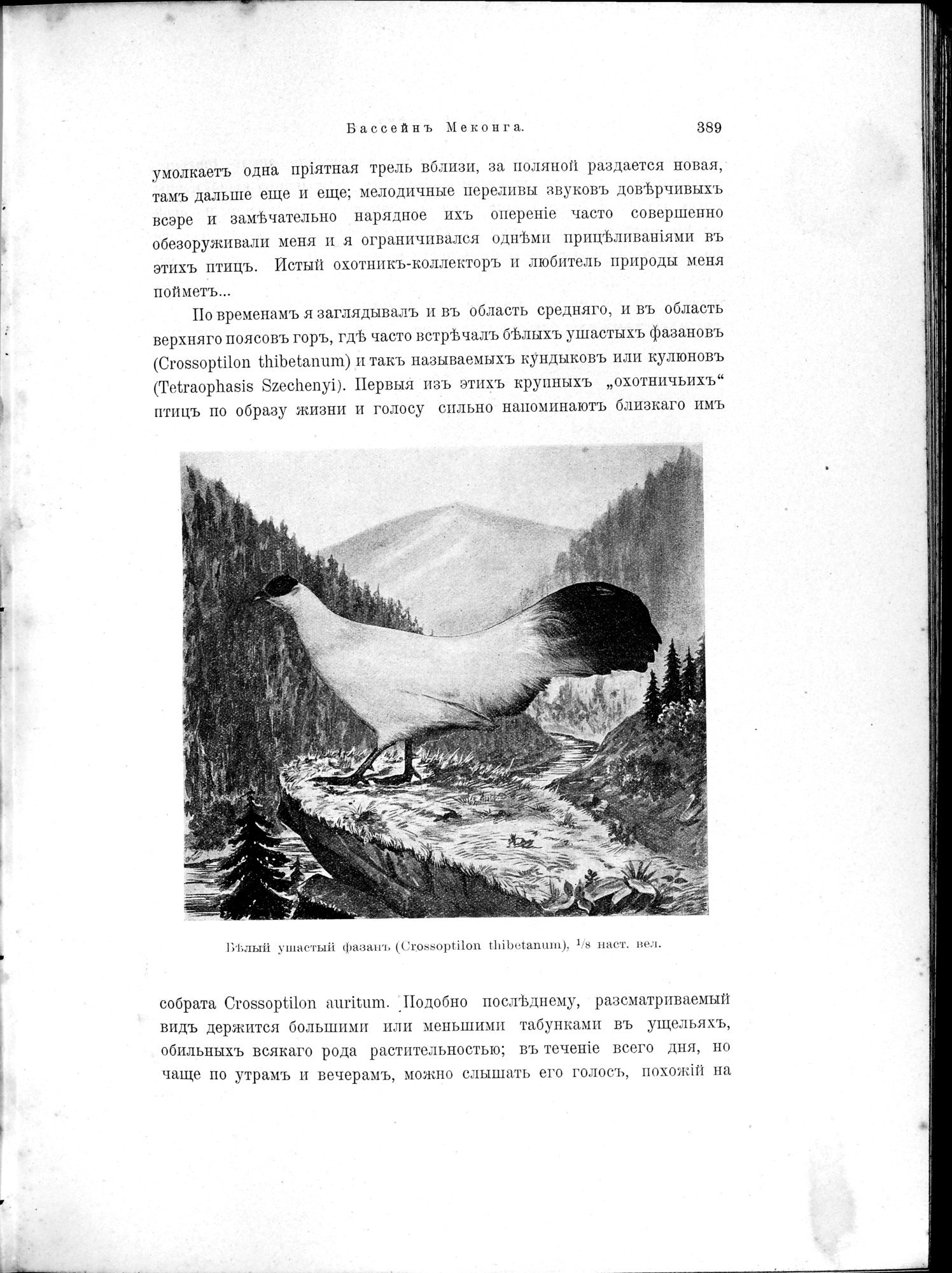 Mongoliia i Kam : vol.2 / 181 ページ（白黒高解像度画像）