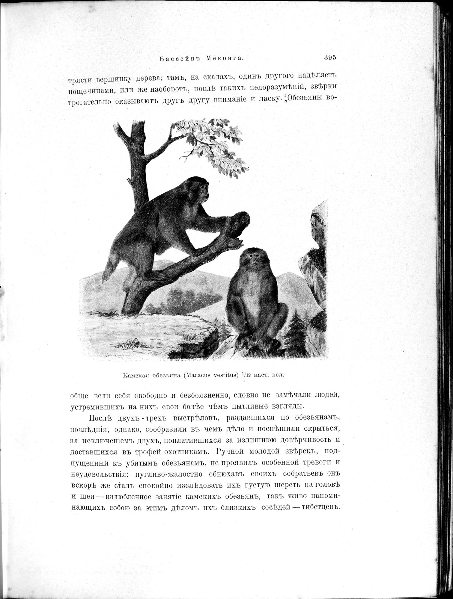 Mongoliia i Kam : vol.2 / 187 ページ（白黒高解像度画像）