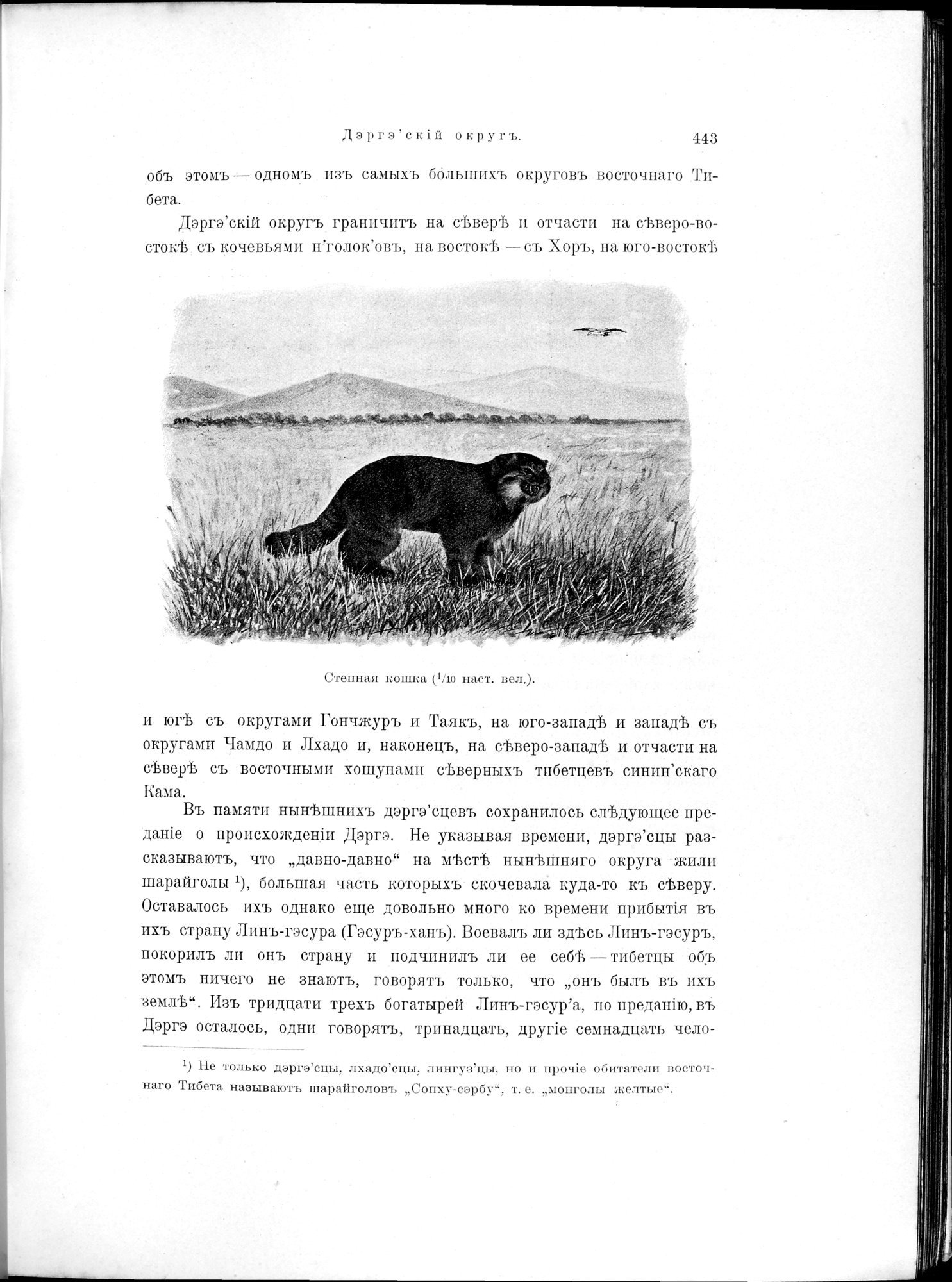 Mongoliia i Kam : vol.2 / 243 ページ（白黒高解像度画像）