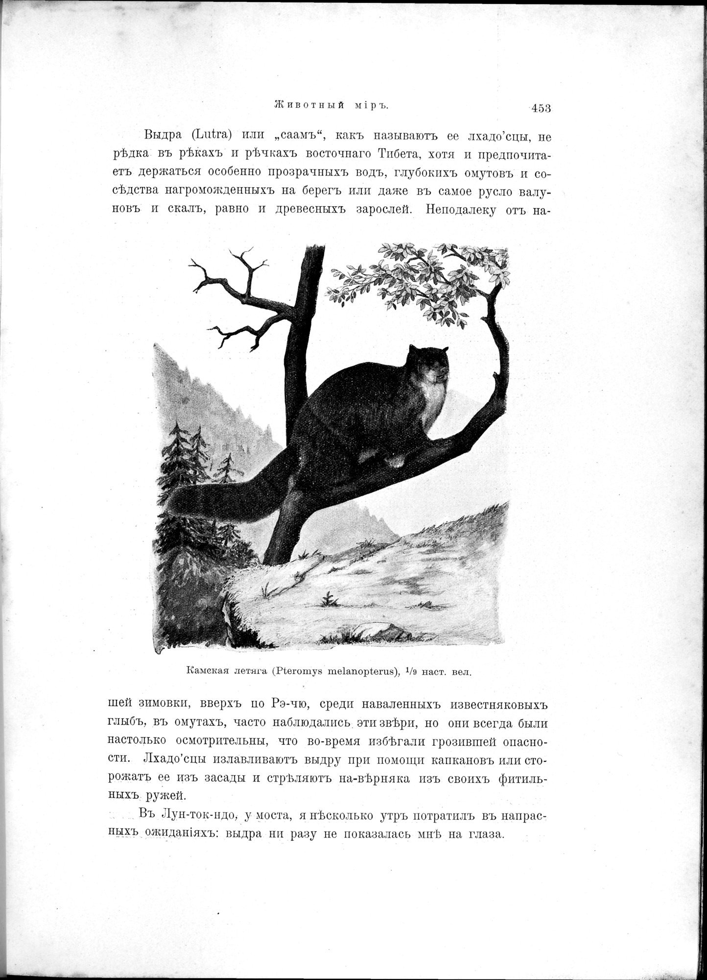 Mongoliia i Kam : vol.2 / 255 ページ（白黒高解像度画像）