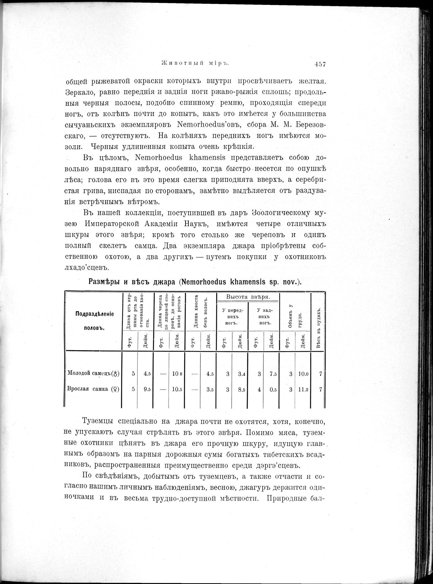 Mongoliia i Kam : vol.2 / 261 ページ（白黒高解像度画像）