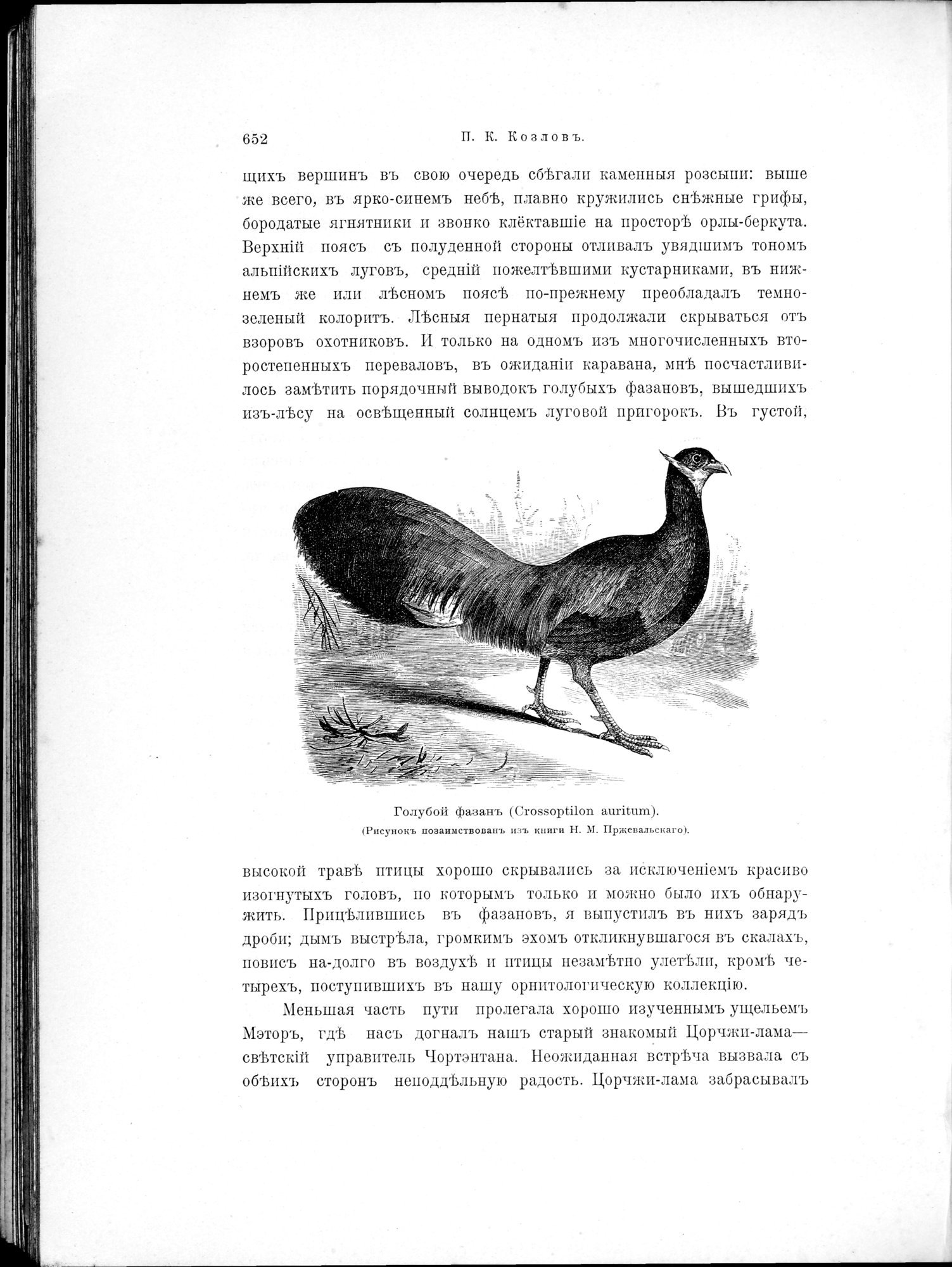 Mongoliia i Kam : vol.2 / 482 ページ（白黒高解像度画像）
