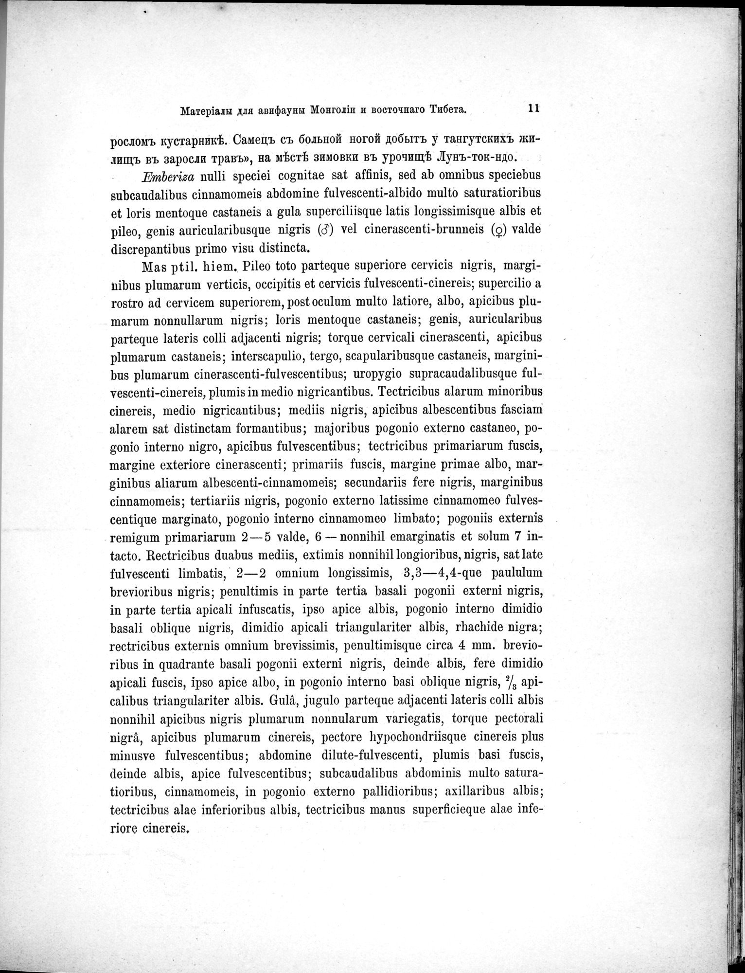 Mongoliia i Kam : vol.5 / 83 ページ（白黒高解像度画像）