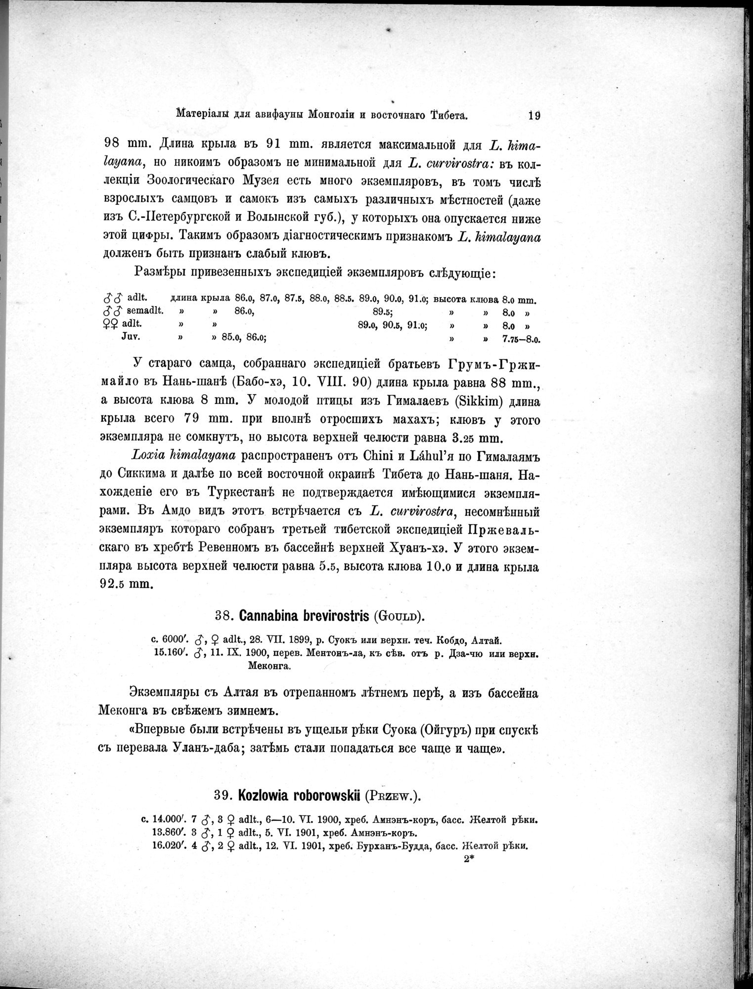 Mongoliia i Kam : vol.5 / Page 91 (Grayscale High Resolution Image)