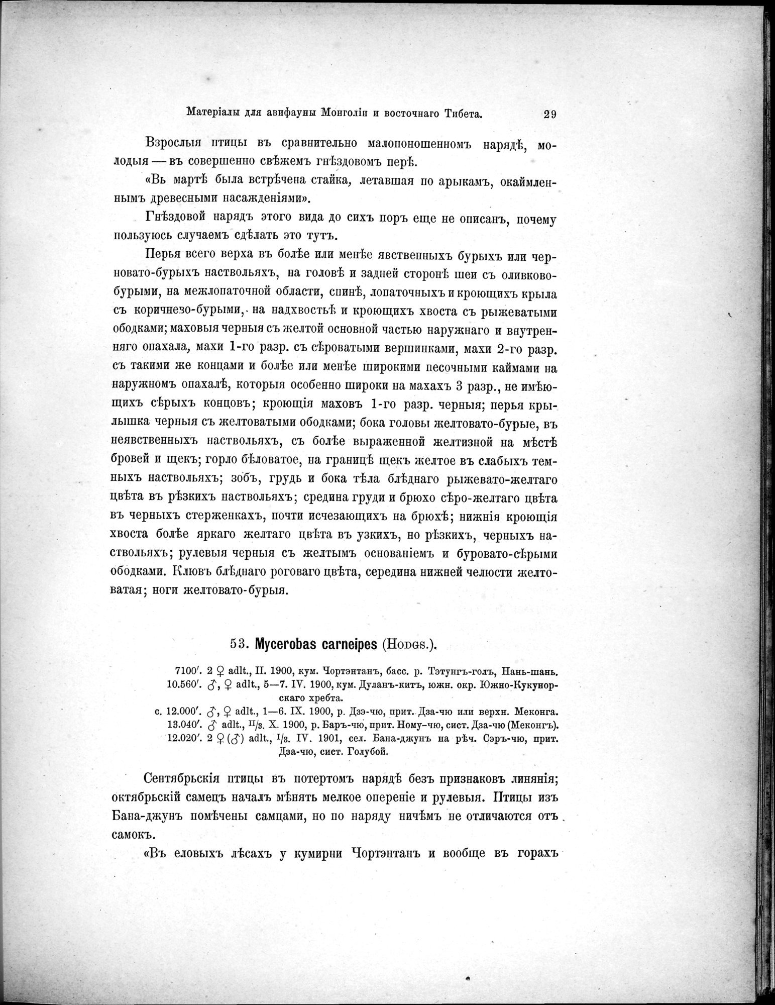 Mongoliia i Kam : vol.5 / 101 ページ（白黒高解像度画像）