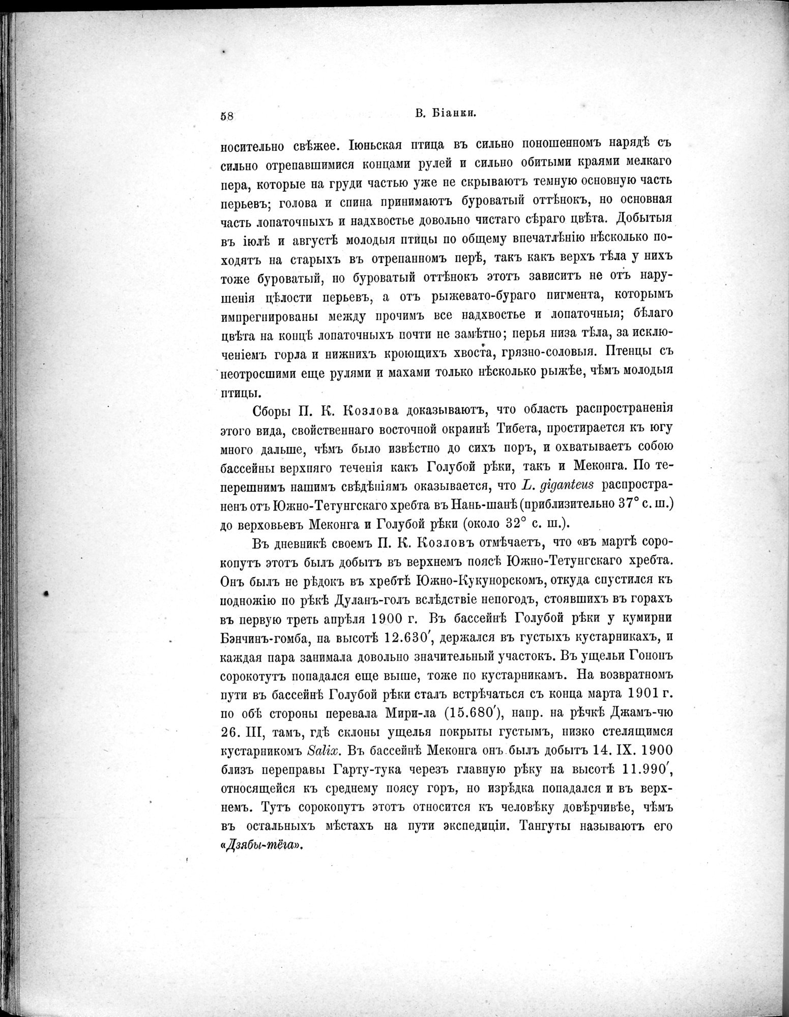Mongoliia i Kam : vol.5 / 130 ページ（白黒高解像度画像）