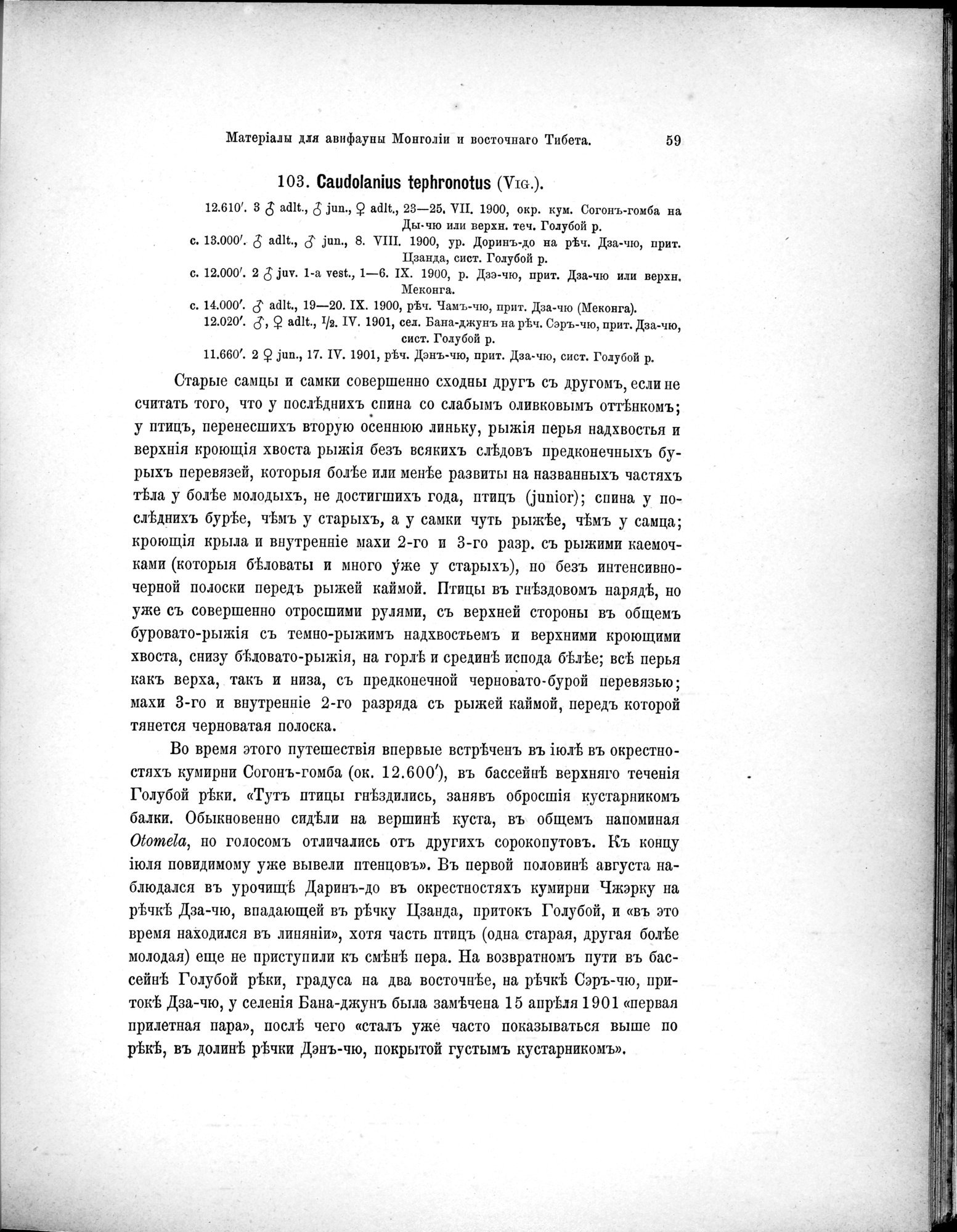 Mongoliia i Kam : vol.5 / 131 ページ（白黒高解像度画像）