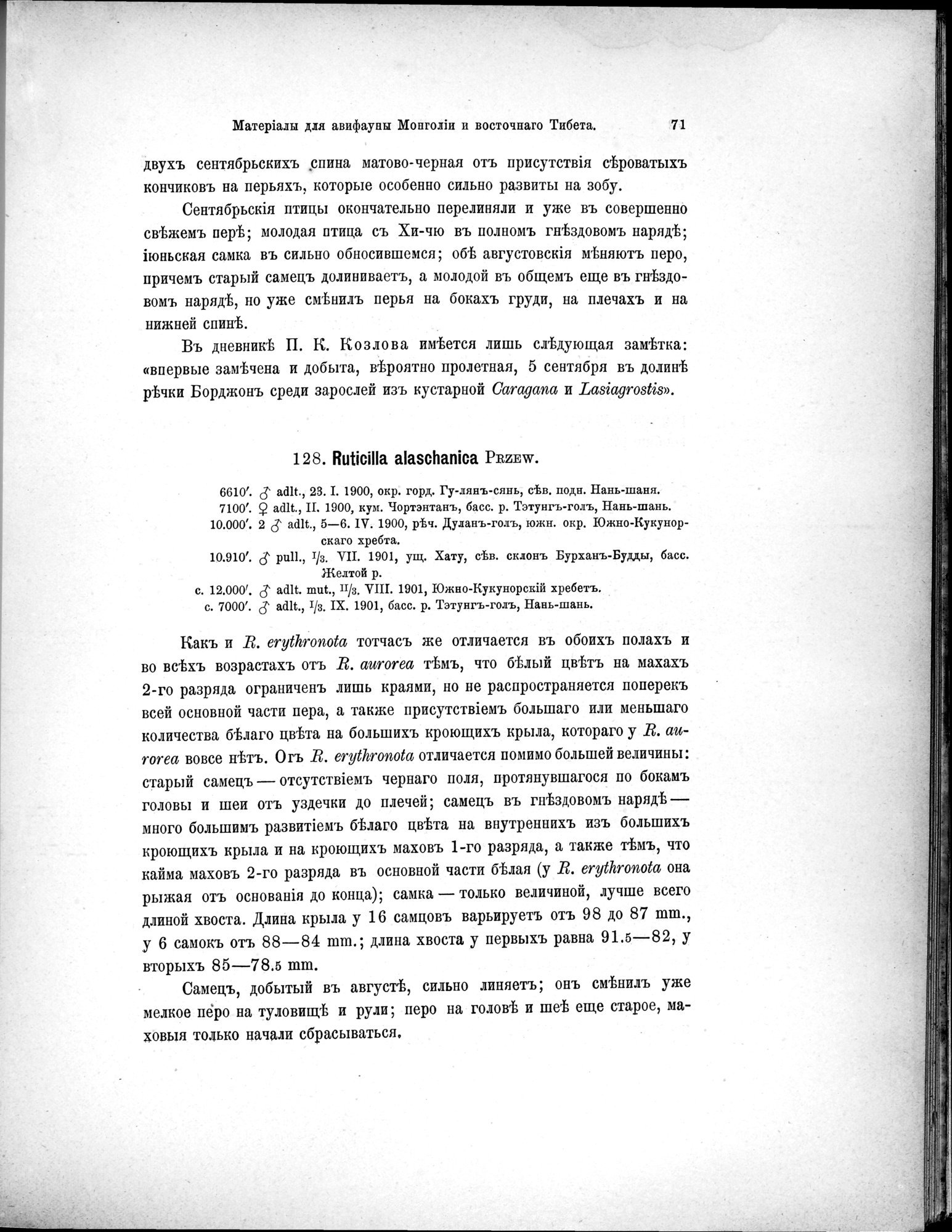 Mongoliia i Kam : vol.5 / 143 ページ（白黒高解像度画像）