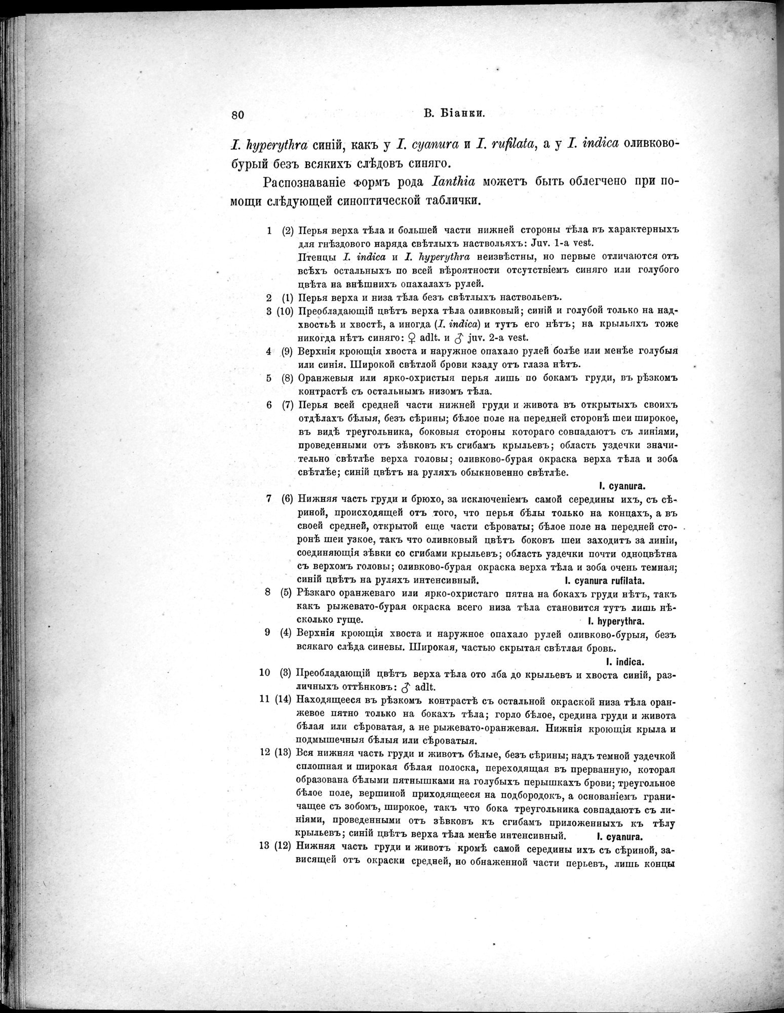 Mongoliia i Kam : vol.5 / 152 ページ（白黒高解像度画像）