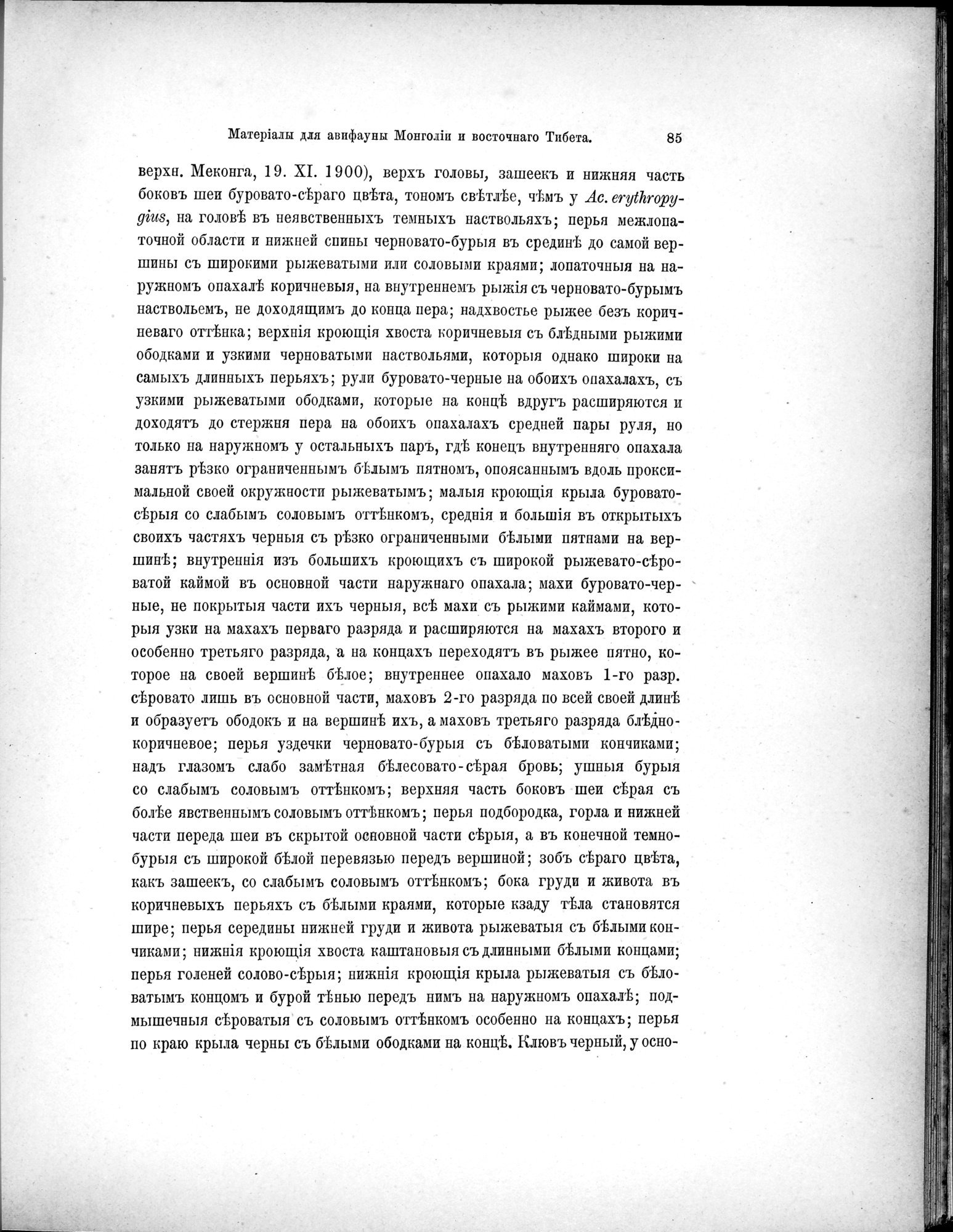 Mongoliia i Kam : vol.5 / 157 ページ（白黒高解像度画像）