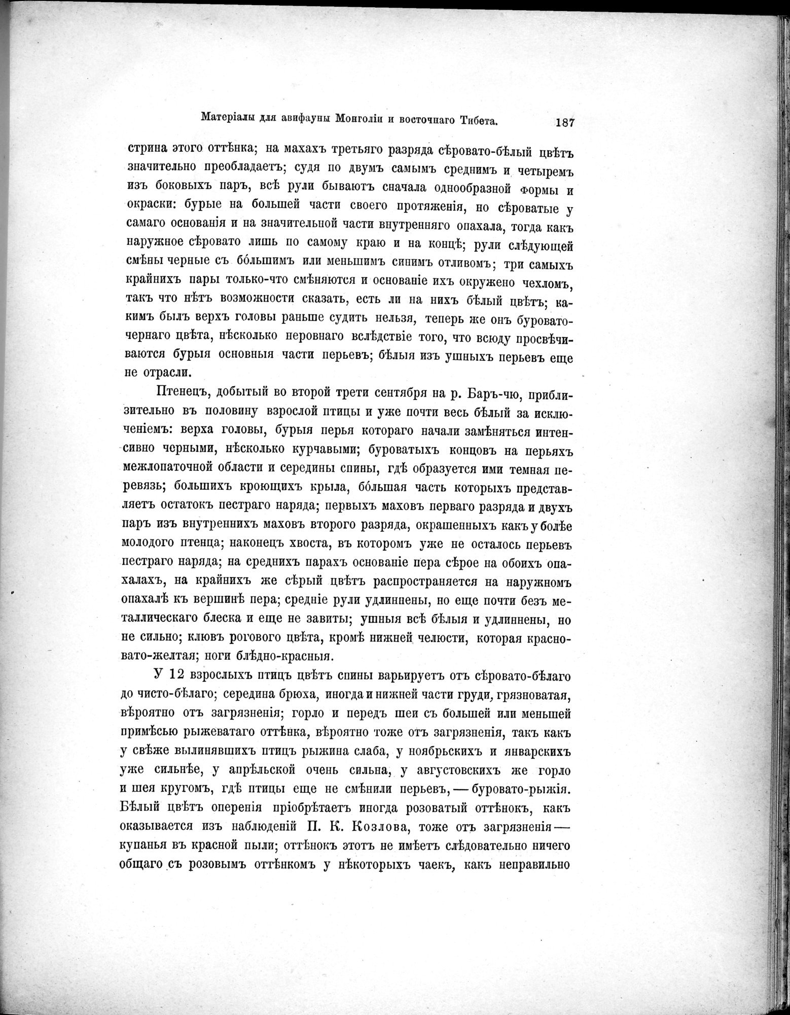 Mongoliia i Kam : vol.5 / 259 ページ（白黒高解像度画像）