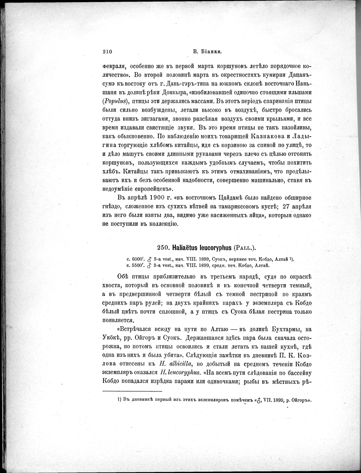 Mongoliia i Kam : vol.5 / 282 ページ（白黒高解像度画像）