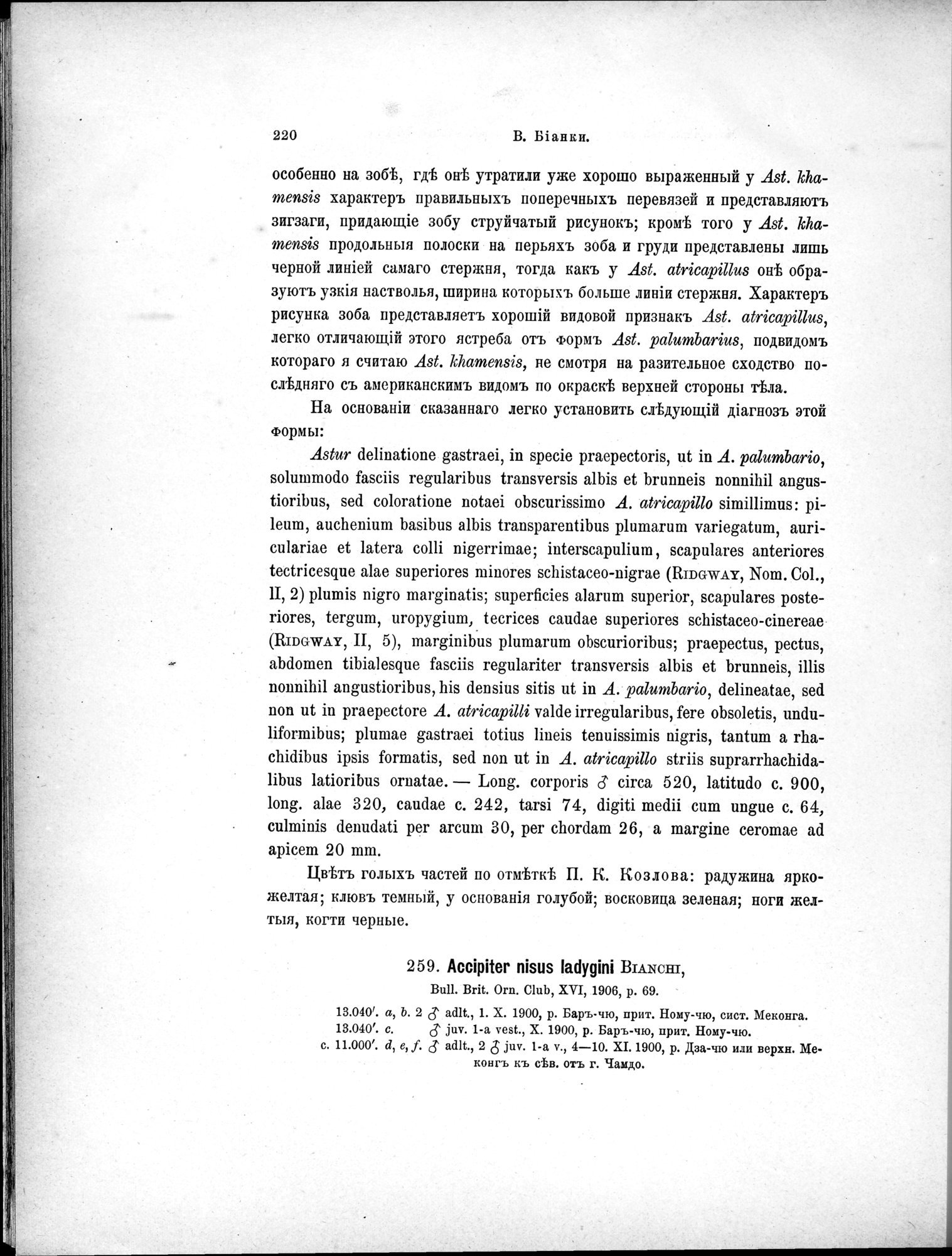 Mongoliia i Kam : vol.5 / Page 292 (Grayscale High Resolution Image)