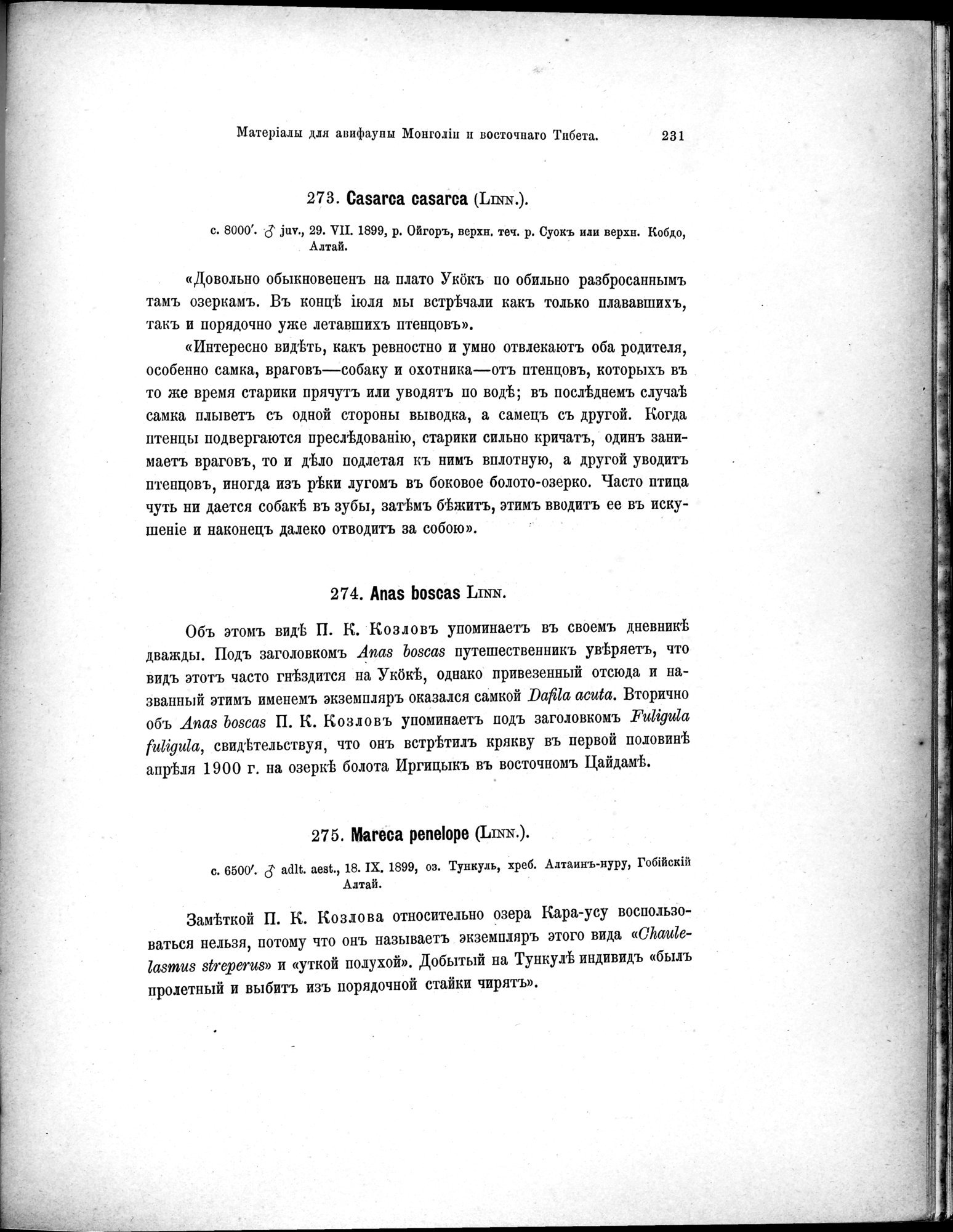 Mongoliia i Kam : vol.5 / Page 303 (Grayscale High Resolution Image)