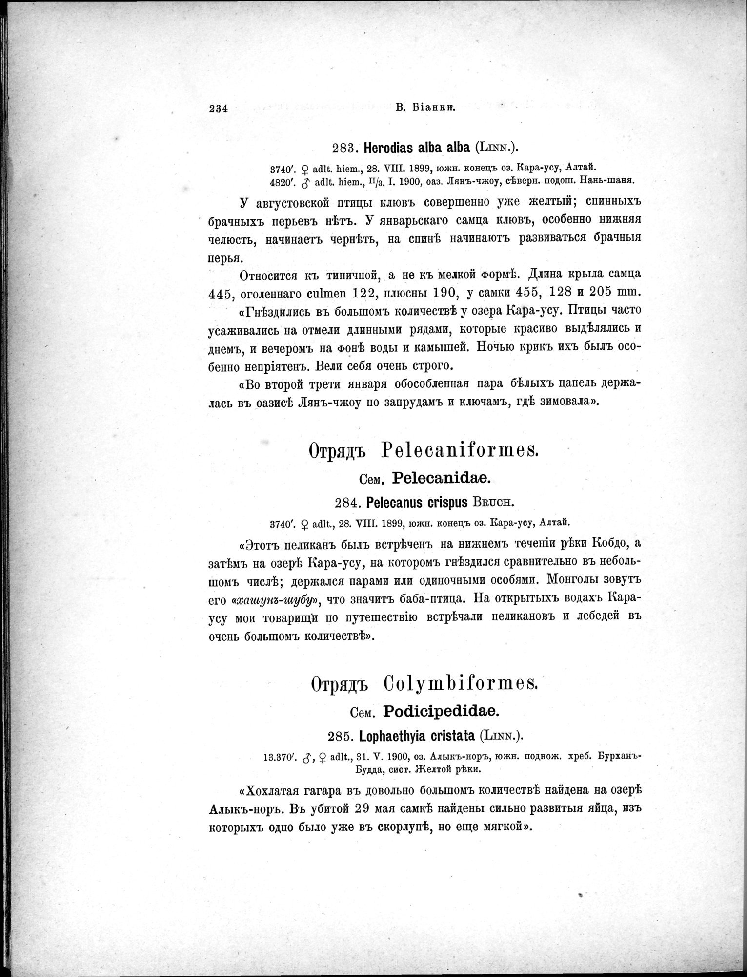 Mongoliia i Kam : vol.5 / 306 ページ（白黒高解像度画像）