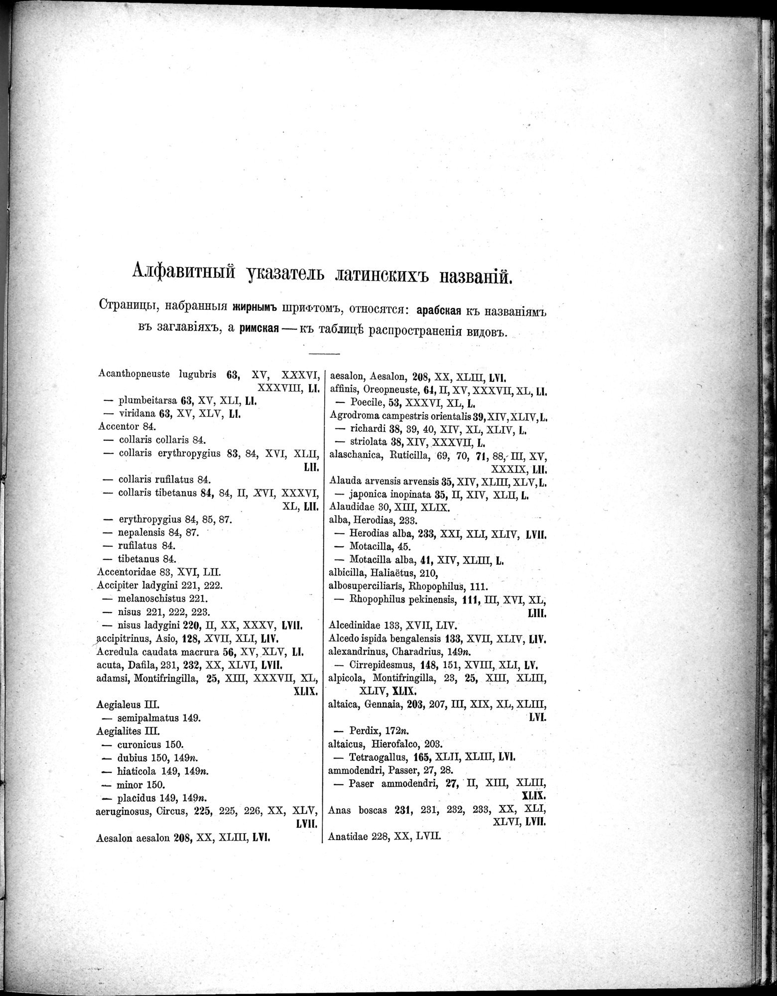 Mongoliia i Kam : vol.5 / 309 ページ（白黒高解像度画像）