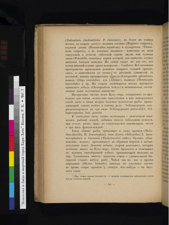 Mongoliya i Amdo i mertby gorod Khara-Khoto : vol.1 : Page 364