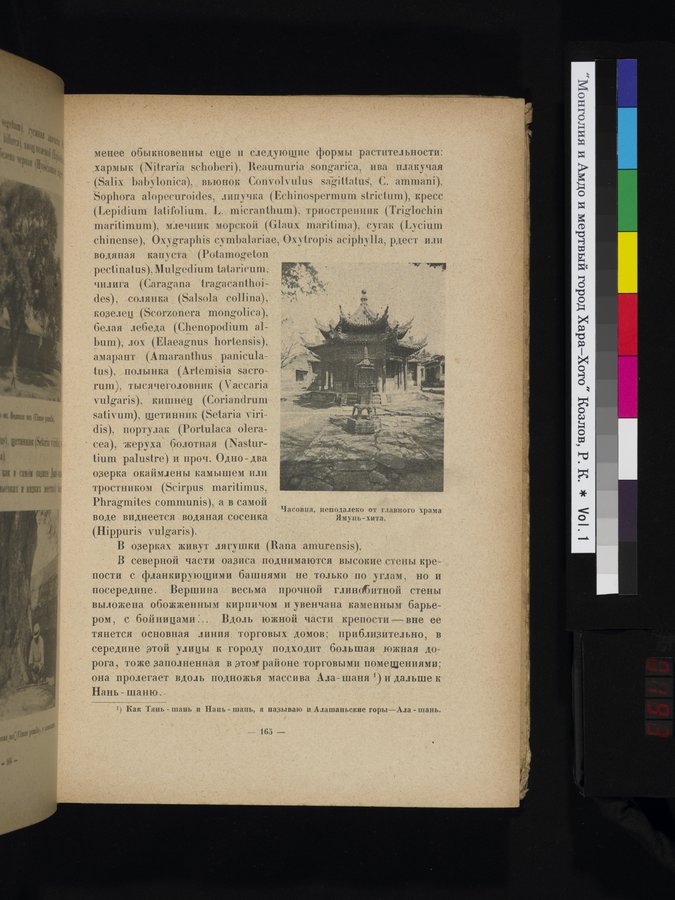 Mongoliya i Amdo i mertby gorod Khara-Khoto : vol.1 / Page 193 (Color Image)