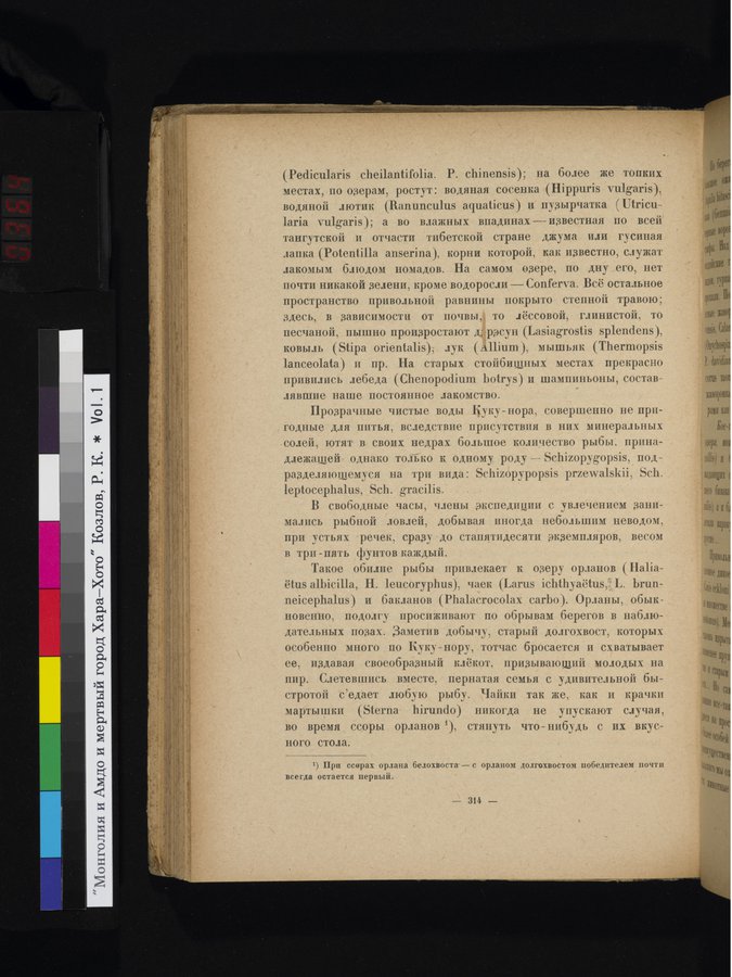 Mongoliya i Amdo i mertby gorod Khara-Khoto : vol.1 / 364 ページ（カラー画像）