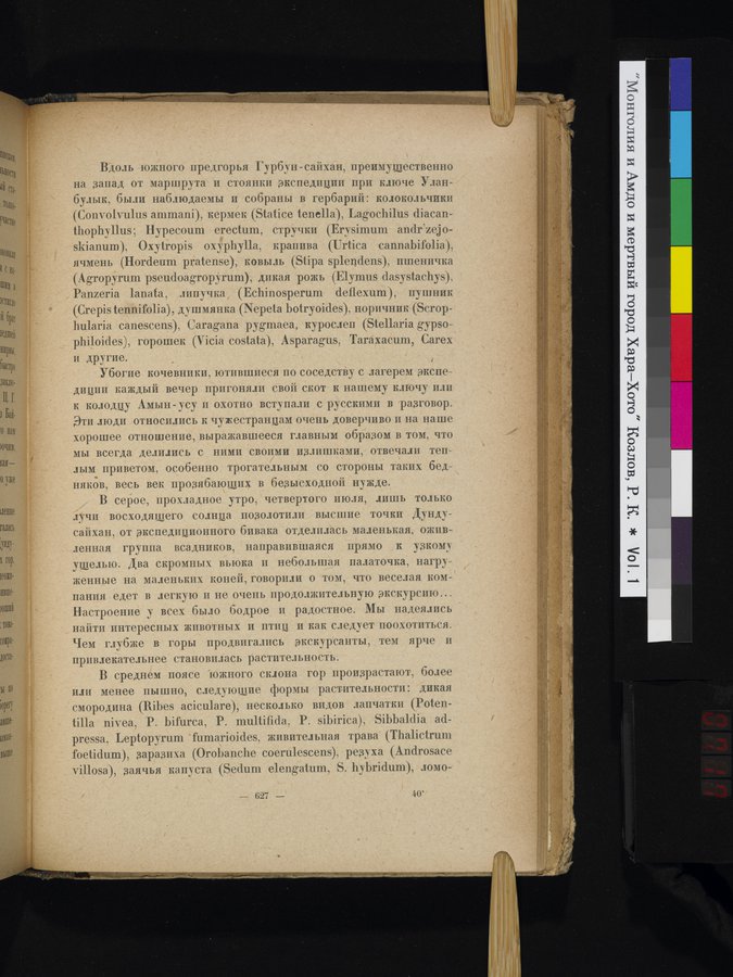 Mongoliya i Amdo i mertby gorod Khara-Khoto : vol.1 / Page 717 (Color Image)