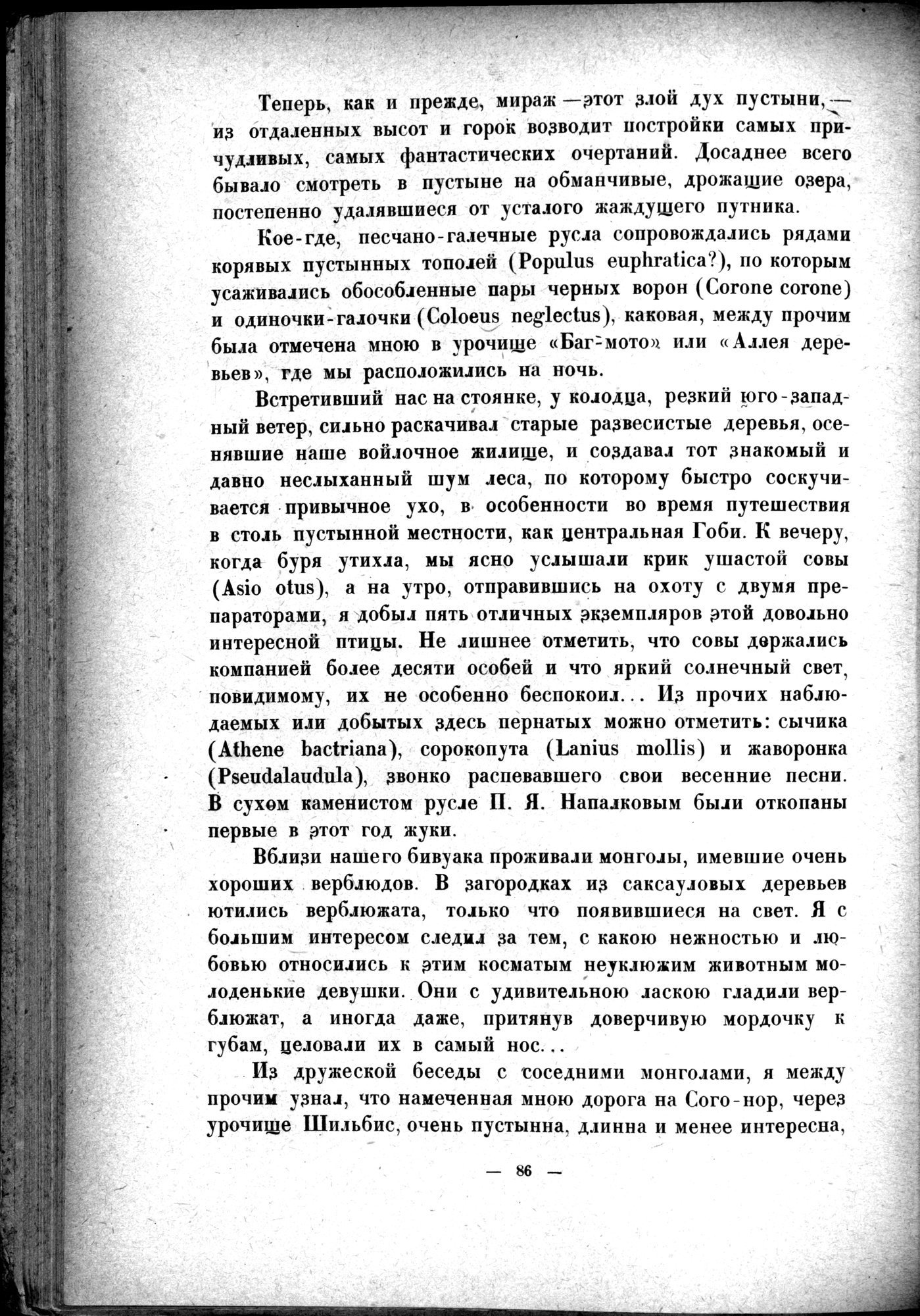 Mongoliya i Amdo i mertby gorod Khara-Khoto : vol.1 / 110 ページ（白黒高解像度画像）