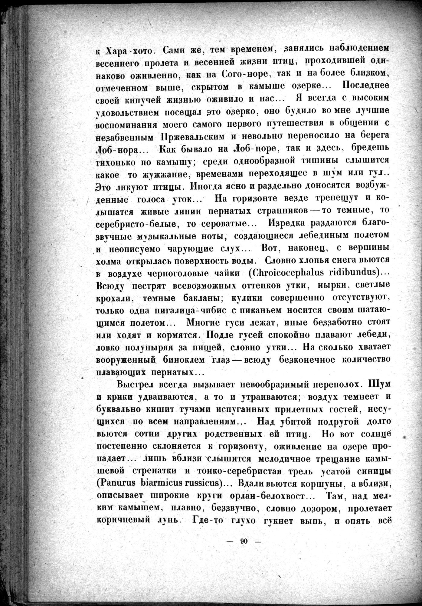 Mongoliya i Amdo i mertby gorod Khara-Khoto : vol.1 / 116 ページ（白黒高解像度画像）