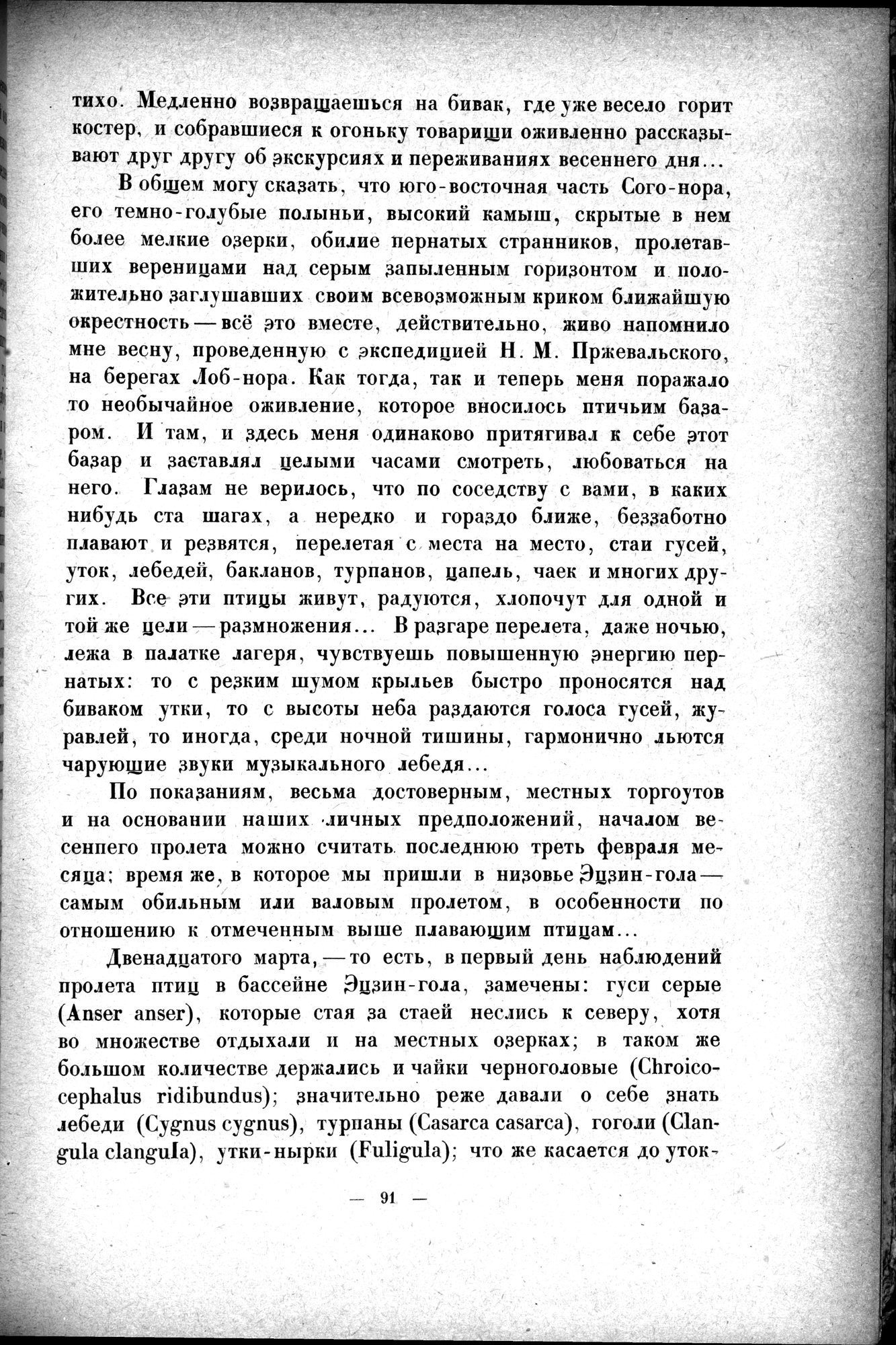 Mongoliya i Amdo i mertby gorod Khara-Khoto : vol.1 / 117 ページ（白黒高解像度画像）