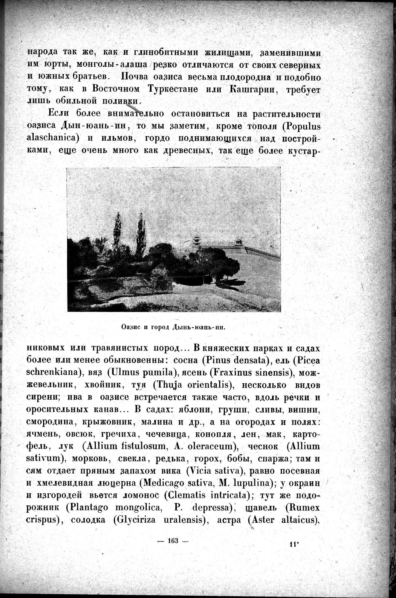 Mongoliya i Amdo i mertby gorod Khara-Khoto : vol.1 / 191 ページ（白黒高解像度画像）