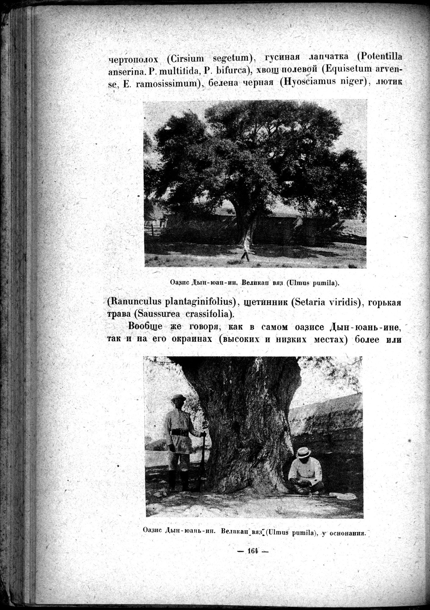 Mongoliya i Amdo i mertby gorod Khara-Khoto : vol.1 / 192 ページ（白黒高解像度画像）