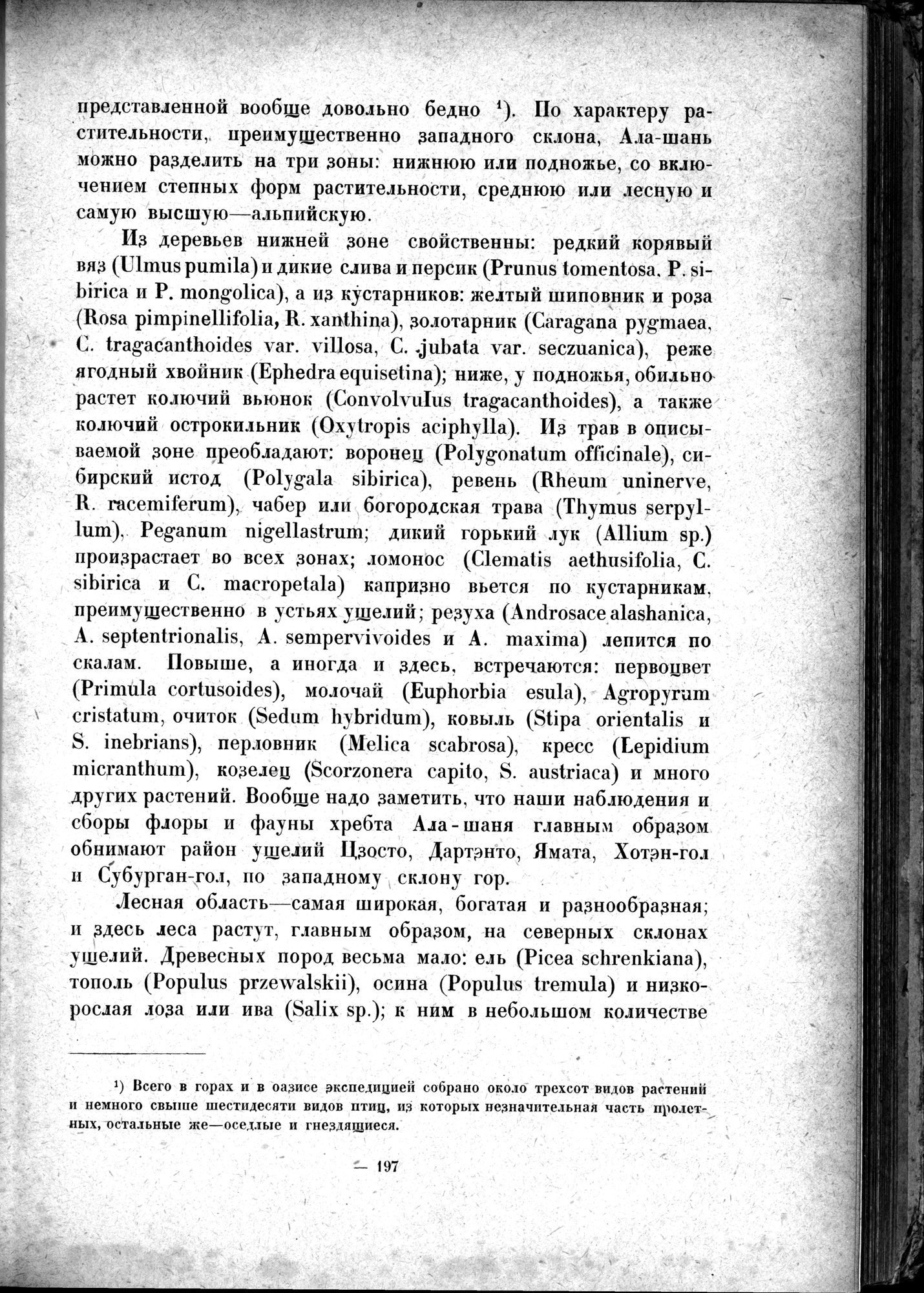 Mongoliya i Amdo i mertby gorod Khara-Khoto : vol.1 / 237 ページ（白黒高解像度画像）