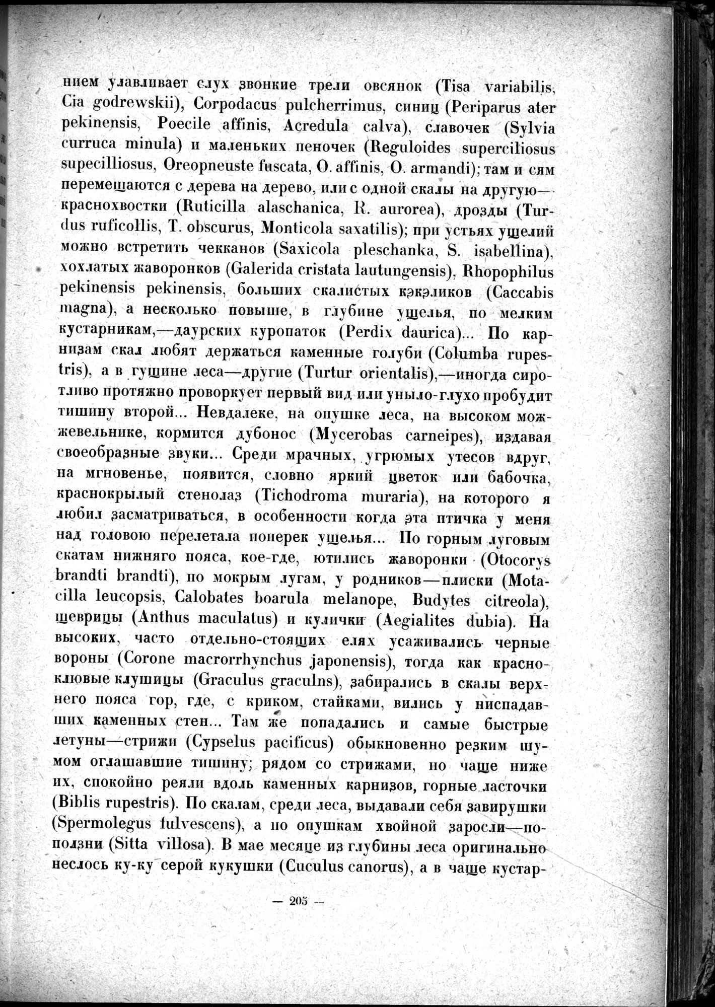 Mongoliya i Amdo i mertby gorod Khara-Khoto : vol.1 / 245 ページ（白黒高解像度画像）
