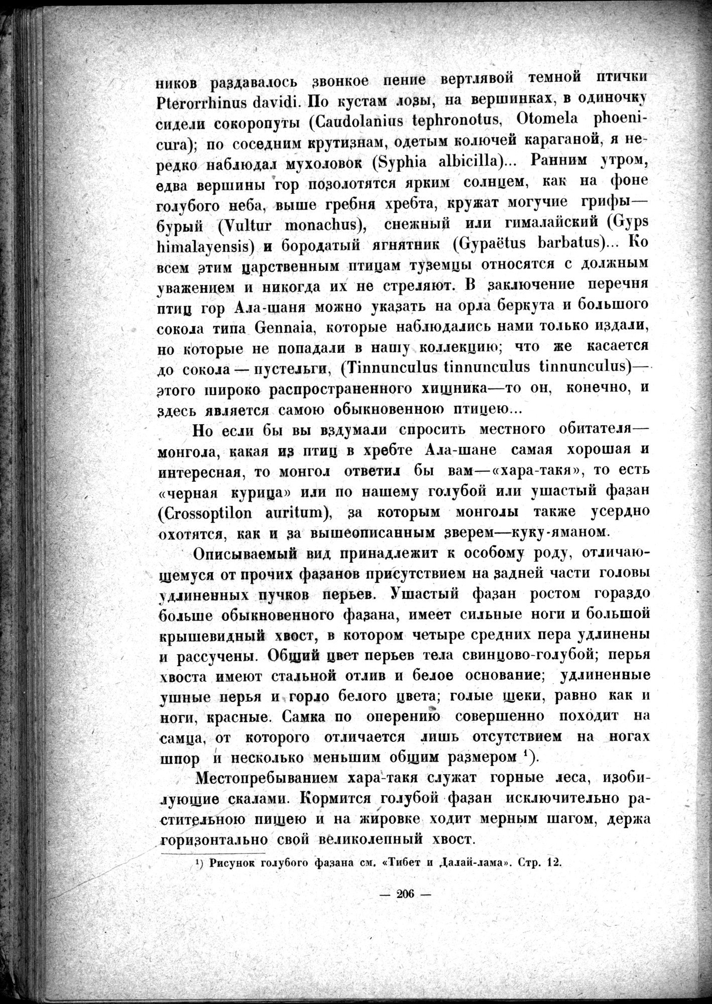 Mongoliya i Amdo i mertby gorod Khara-Khoto : vol.1 / 246 ページ（白黒高解像度画像）
