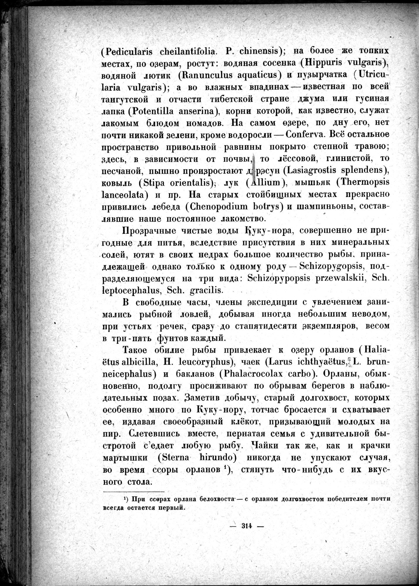 Mongoliya i Amdo i mertby gorod Khara-Khoto : vol.1 / 364 ページ（白黒高解像度画像）
